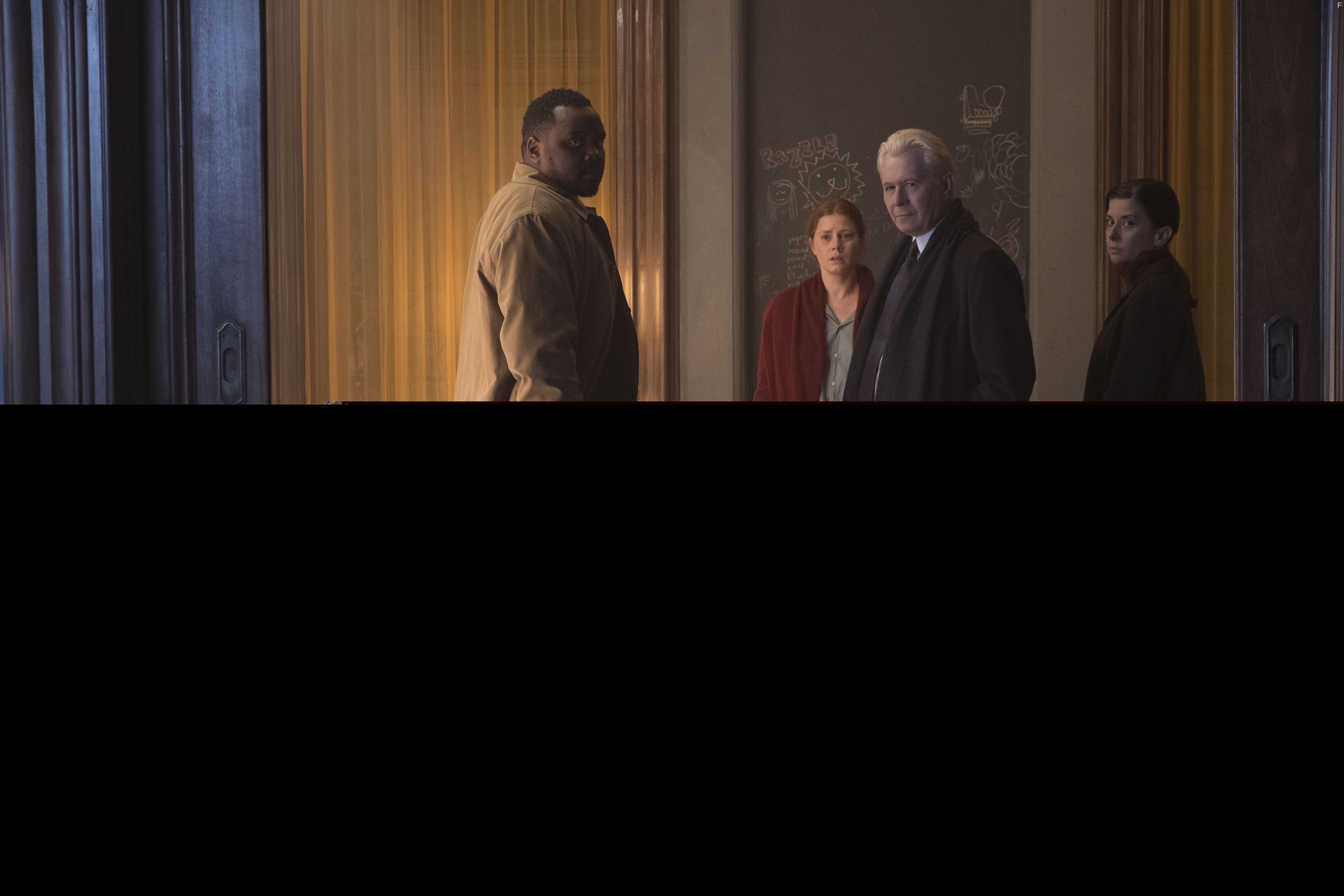 Gary Oldman, Amy Adams, Anna Fox, Jeanine Serralles, Brian Tyree Henry, and Alistair Russell in The Woman in the Window (2021)