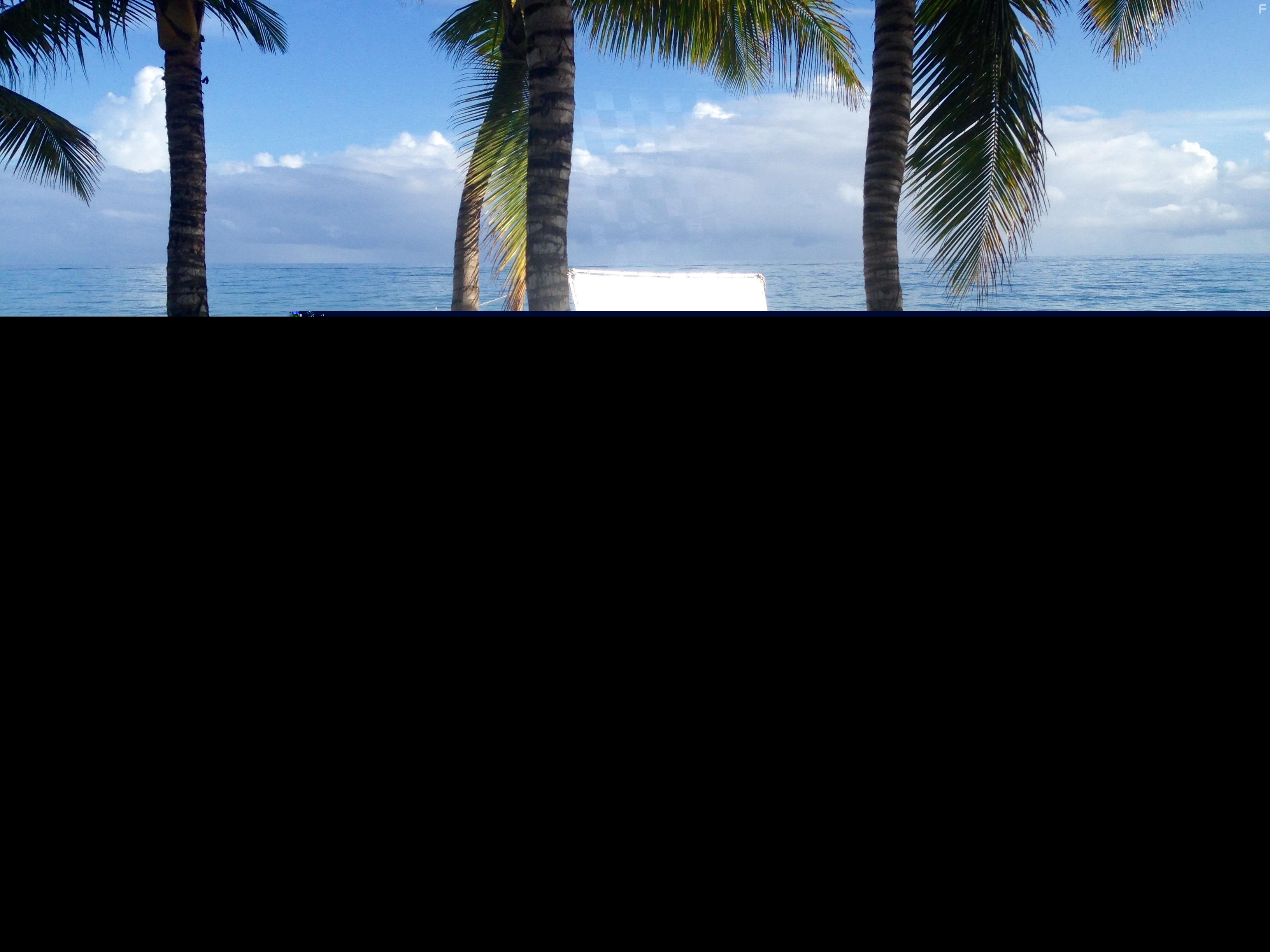 Franmiris Lombert, Bolvar Gmez, Frank Morgado, and Marco Vargas Garcia in Cabarete (2019)