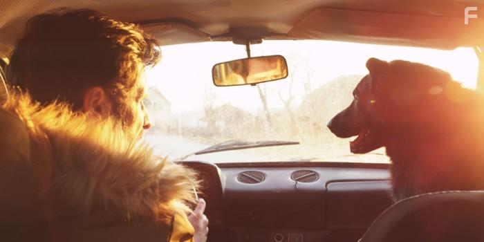 Psi umiru sami (2019)