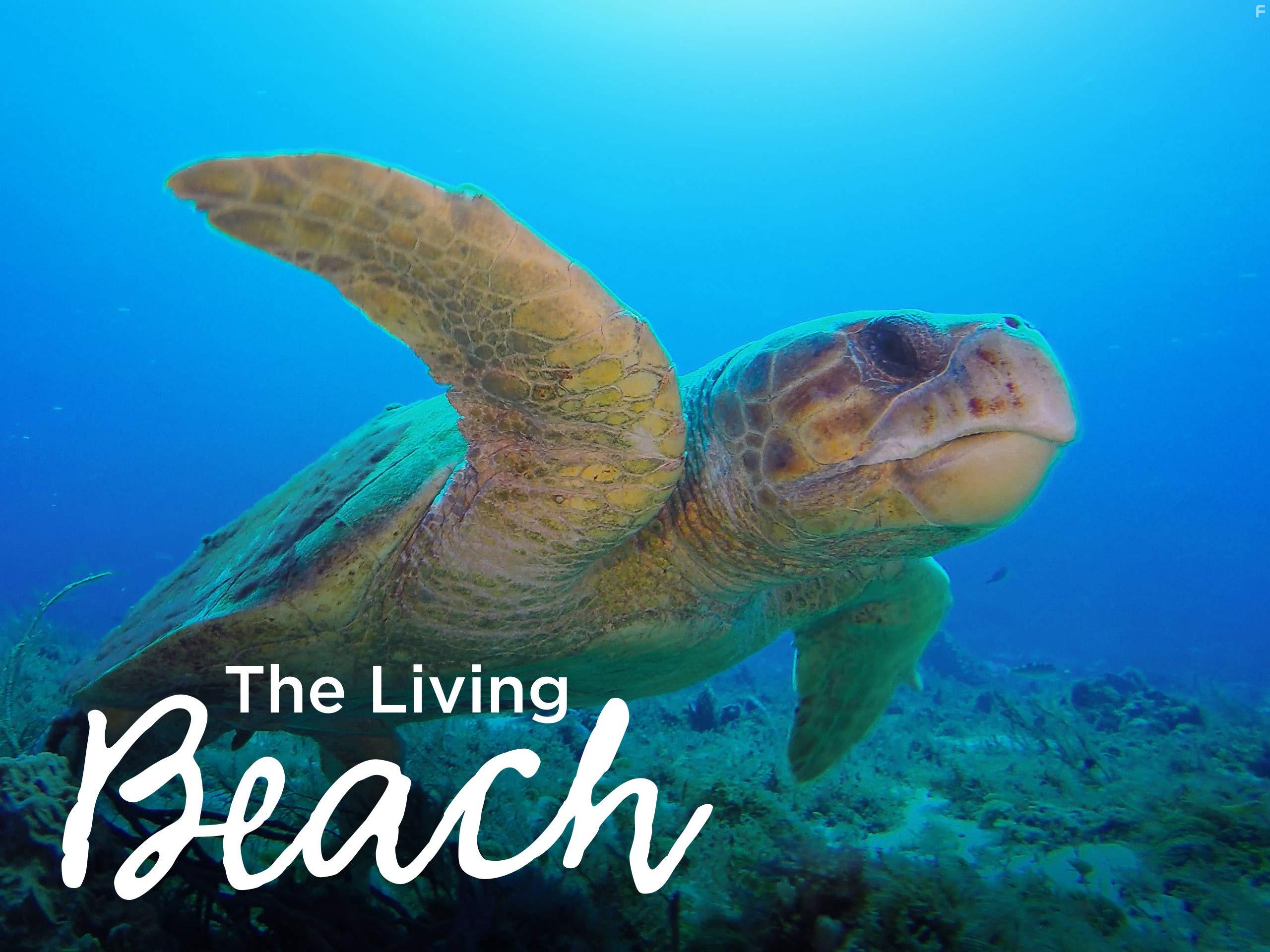 Живой пляж #2