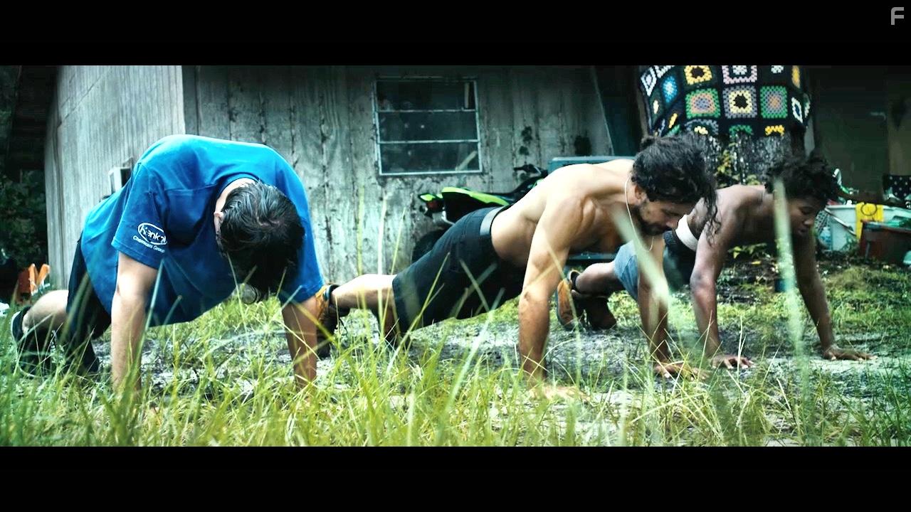 Дикий округ