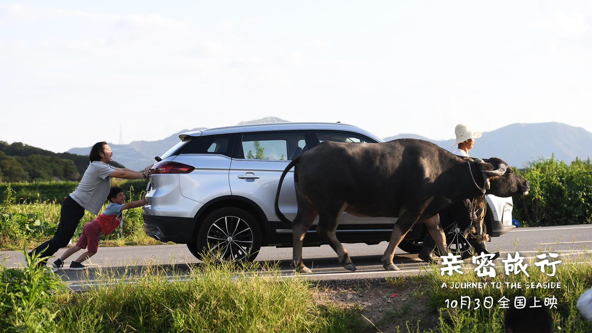 Junbo Sha and Yi Sha in Qin mi l xing (2019)