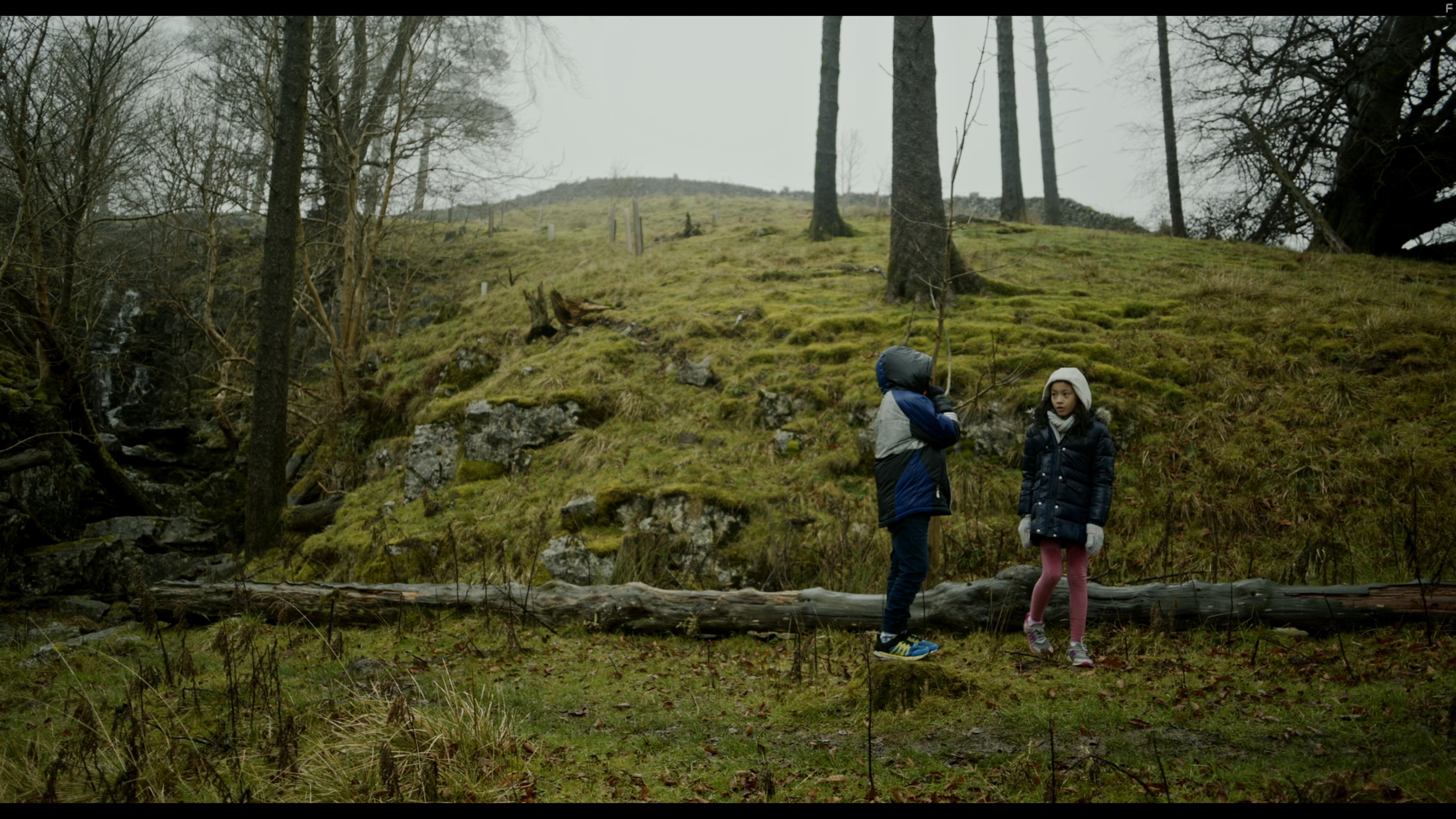 Dinosaur Hotel (2021)