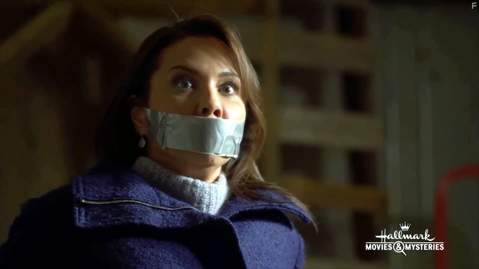 Lexa Doig in Aurora Teagarden Mysteries: Heist and Seek (2020)