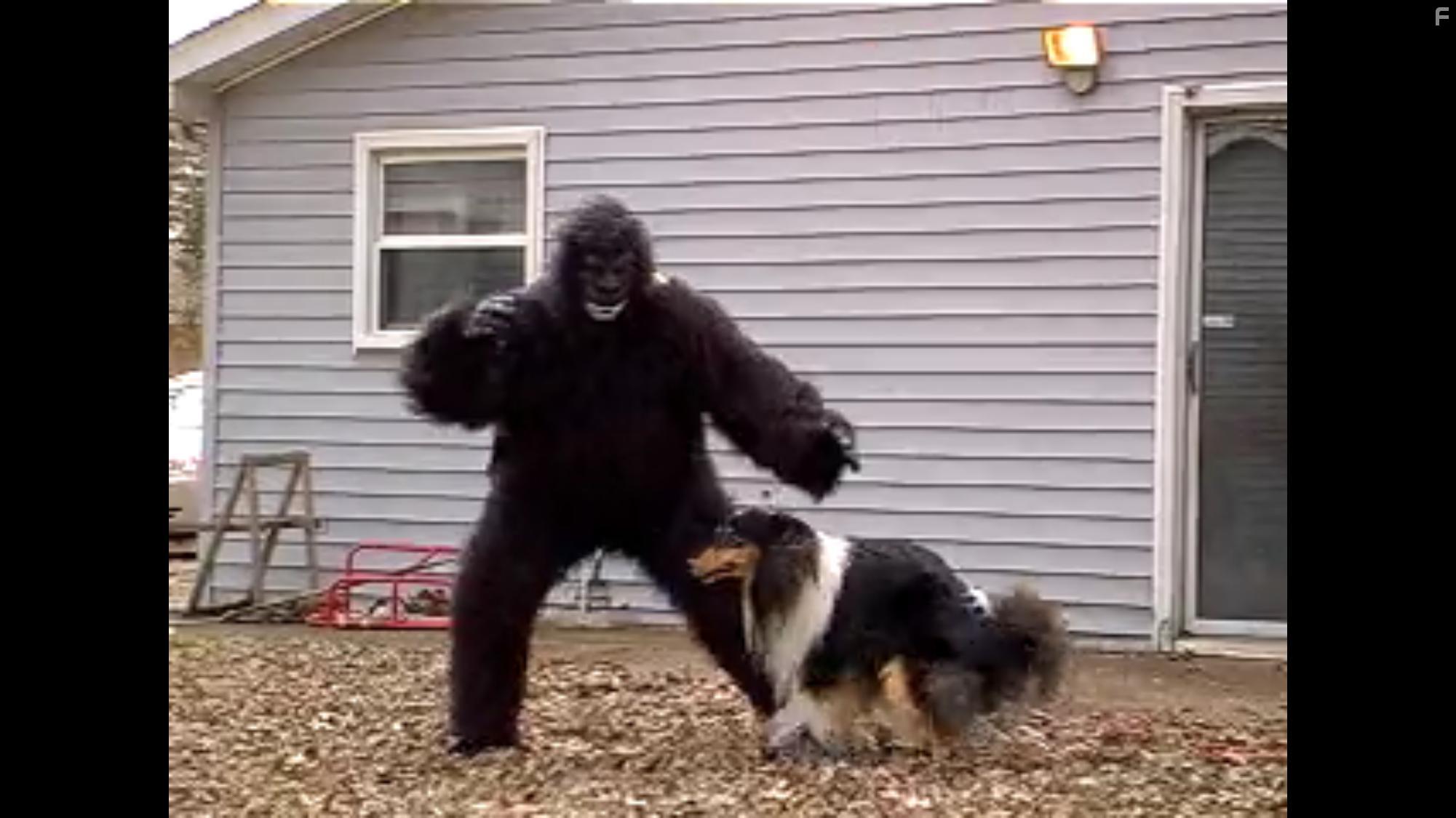 Stephen Albers in Psycho Ape! (2020)