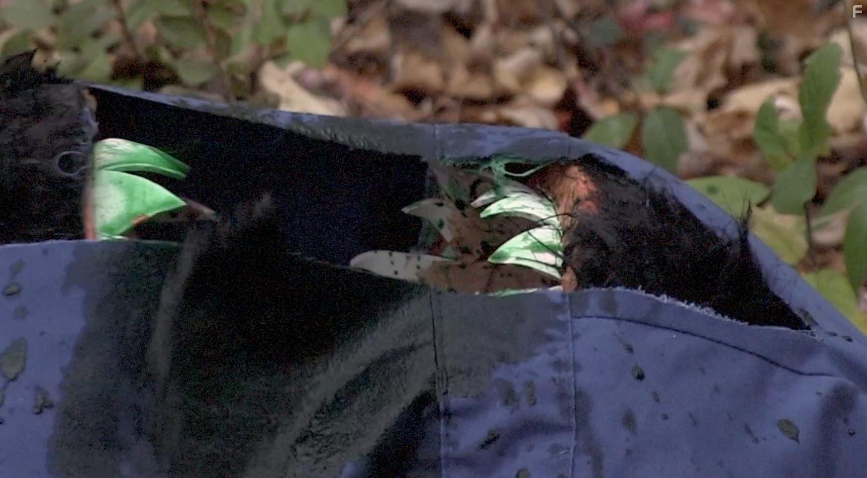 Guardia de Mal 2 (2020)