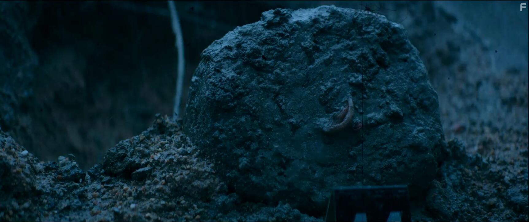 Sao hei · Jue zhan (2021)