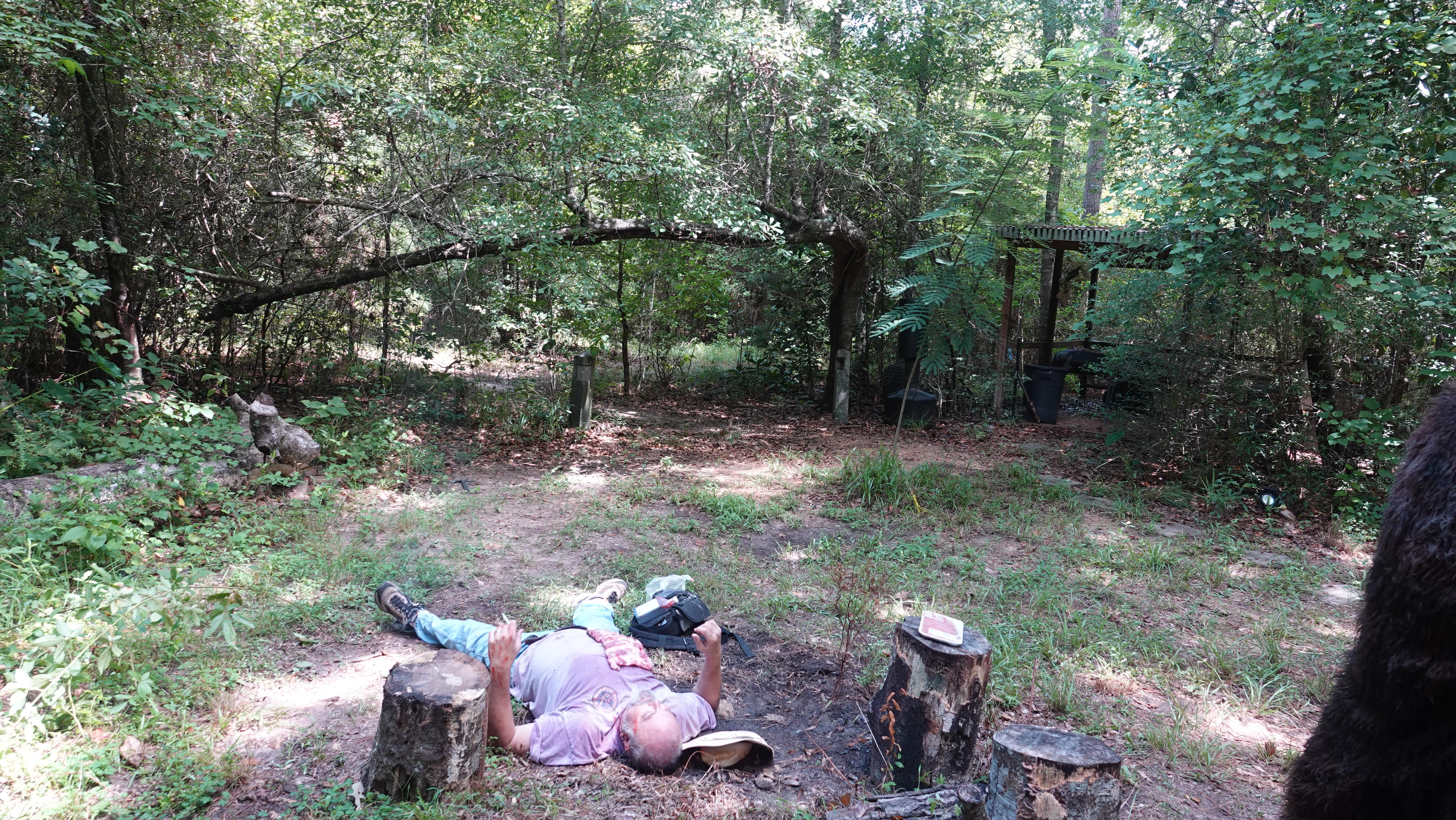 Наедине с бигфутом