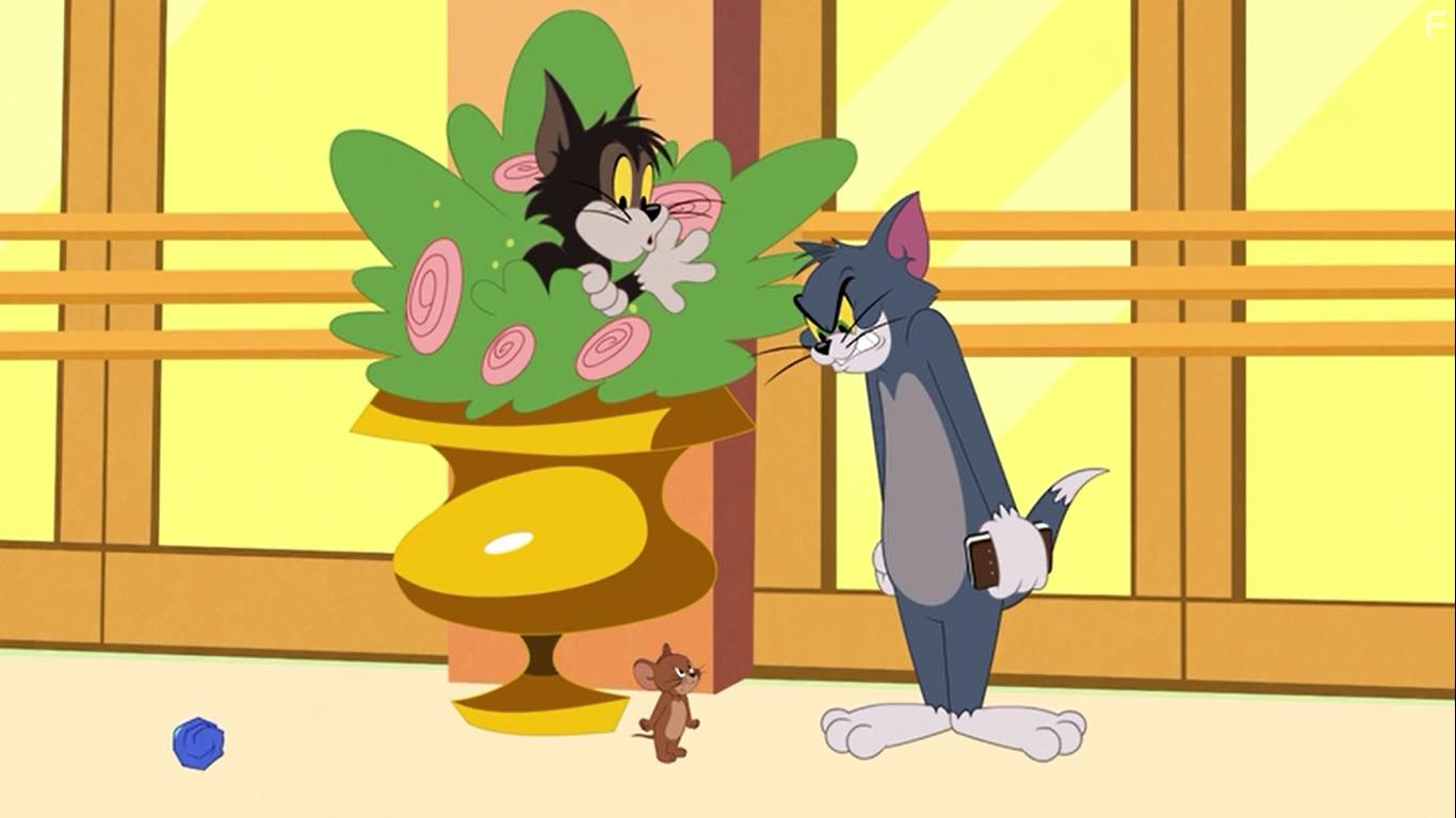 Joey D'Auria in Tom and Jerry in New York (2021)