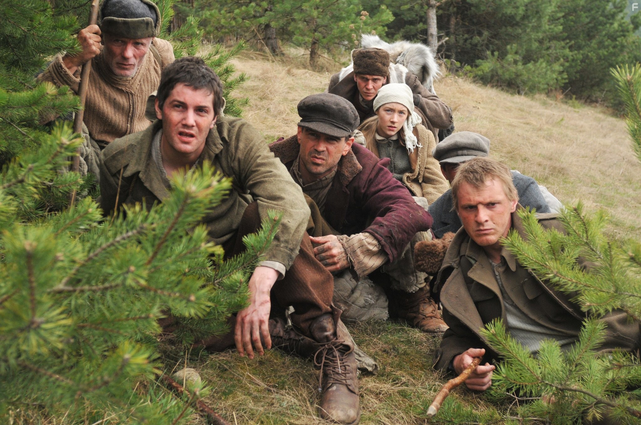 Ed Harris, Colin Farrell, Jim Sturgess, and Saoirse Ronan in Путь домой (2010)