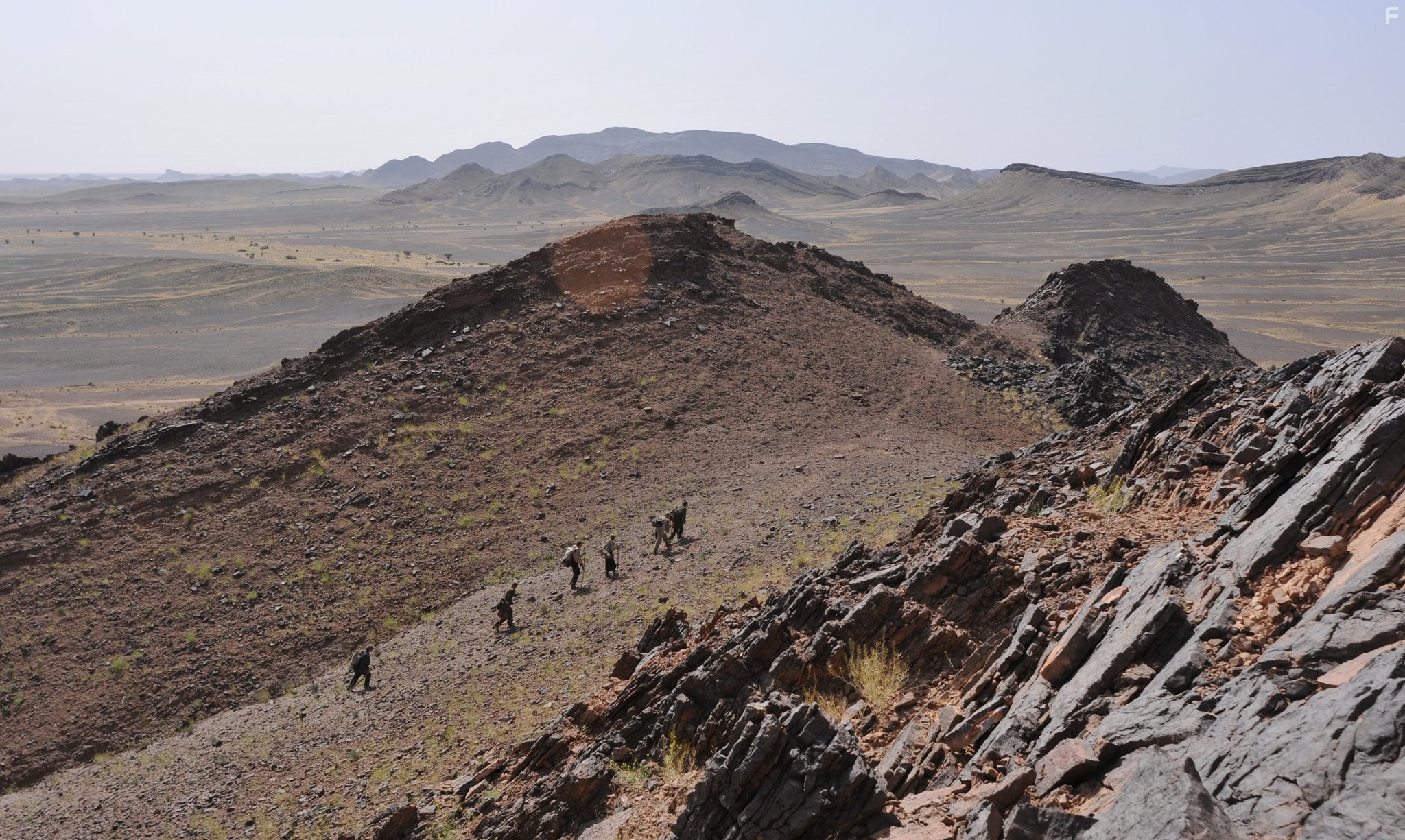 Путь домой (2010)