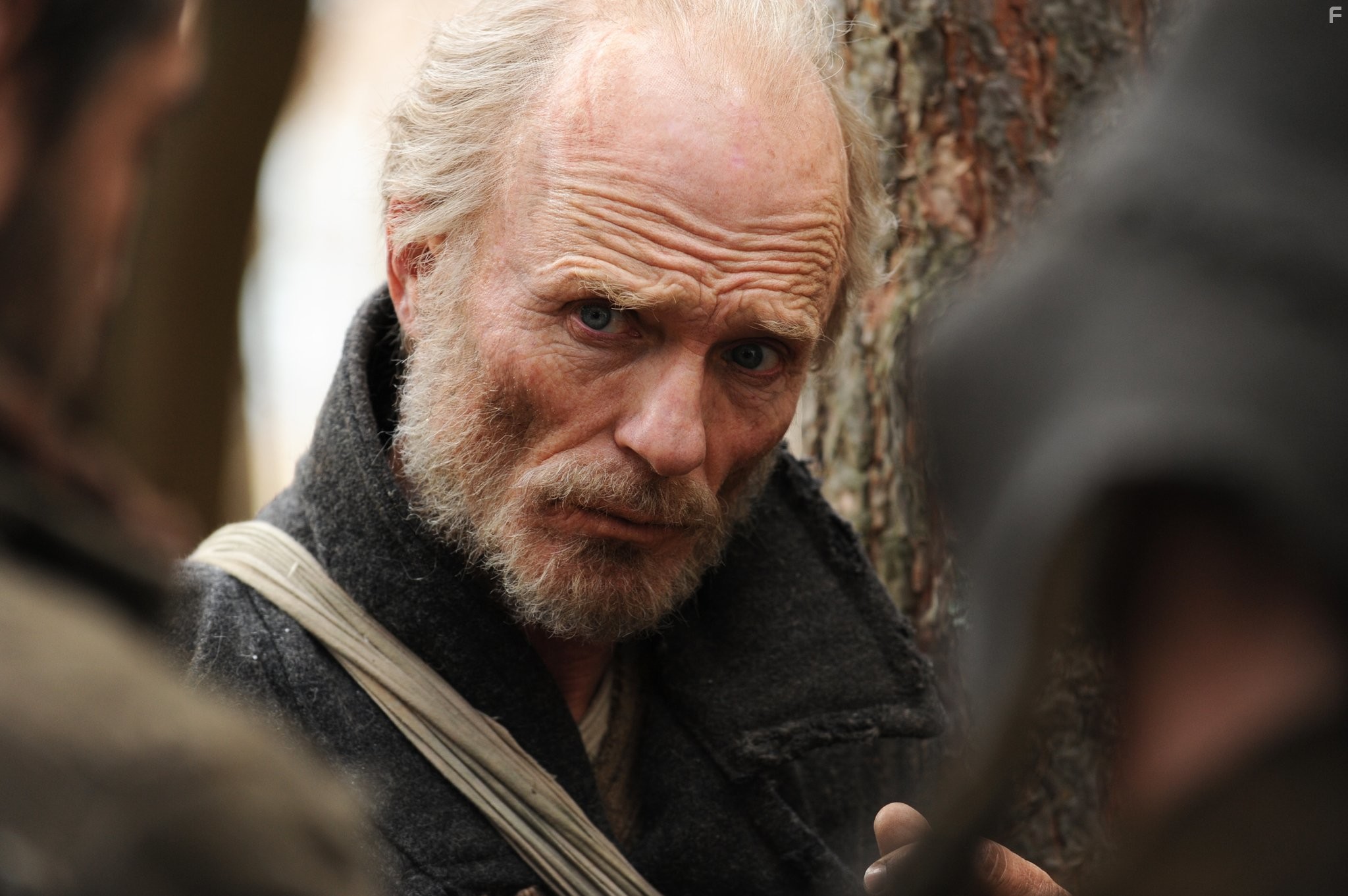 Ed Harris in Путь домой (2010)