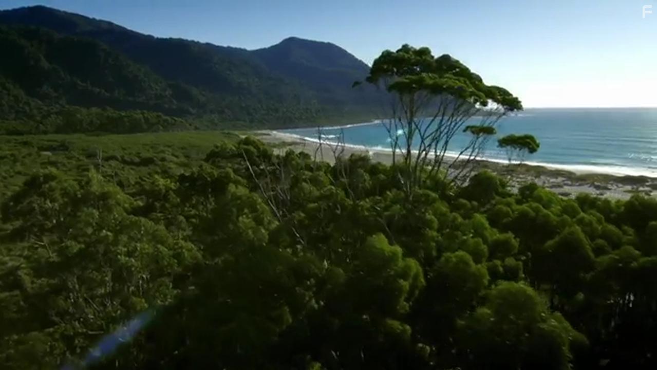 Penguins: Meet the Family (2020)