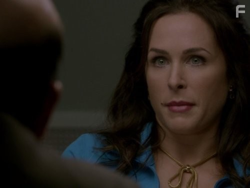 Следствие по телу (2011)