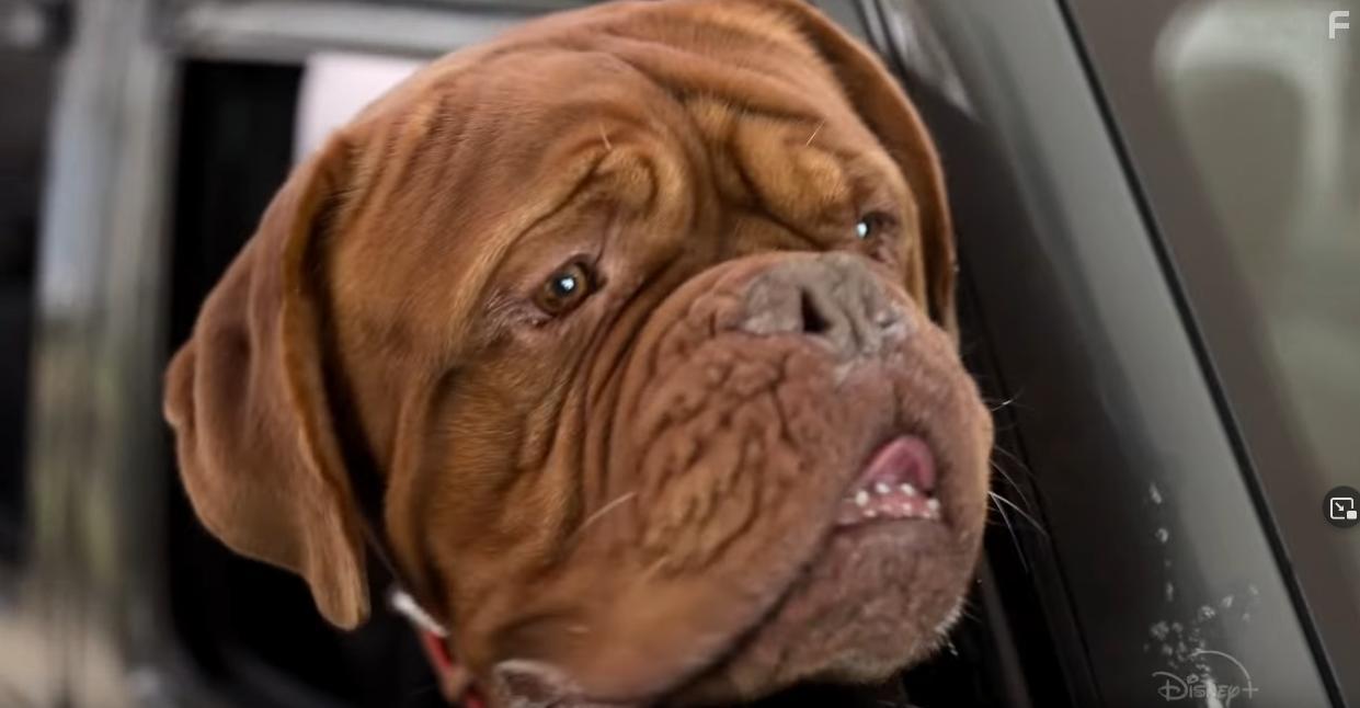 Тёрнер и Хуч #2