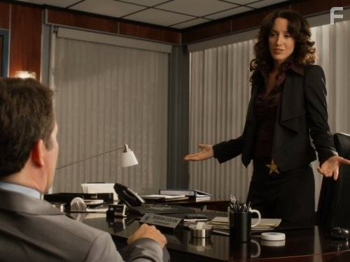 Власть закона (2011)