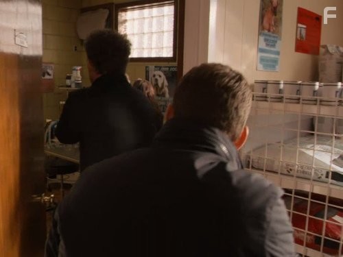 Власть закона (2011)