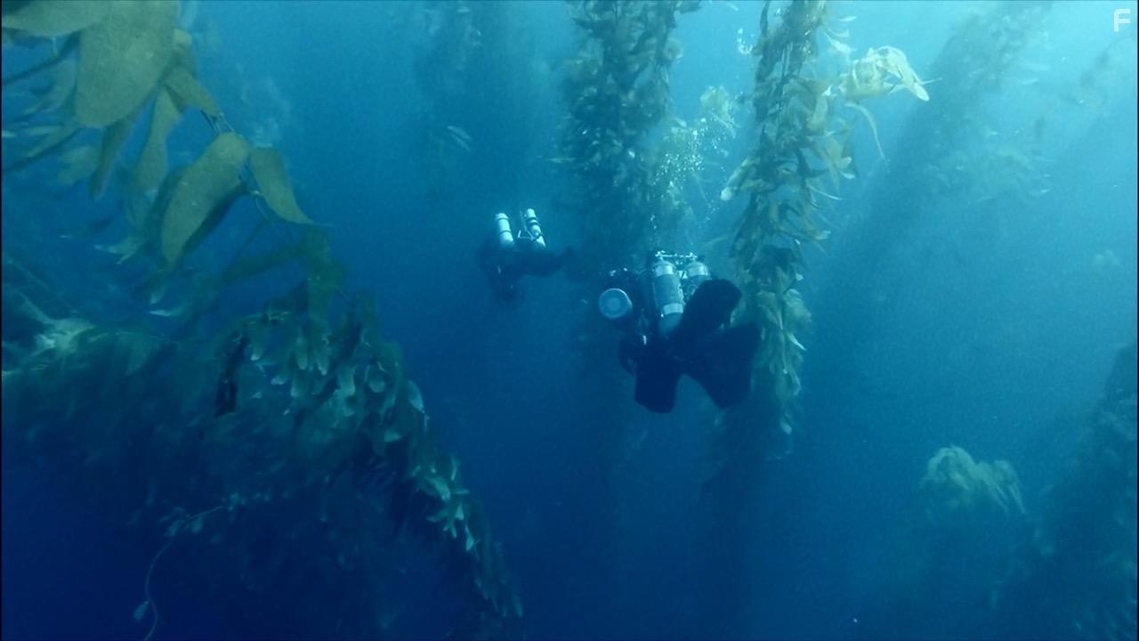 The Loneliest Whale: The Search for 52 (2021)