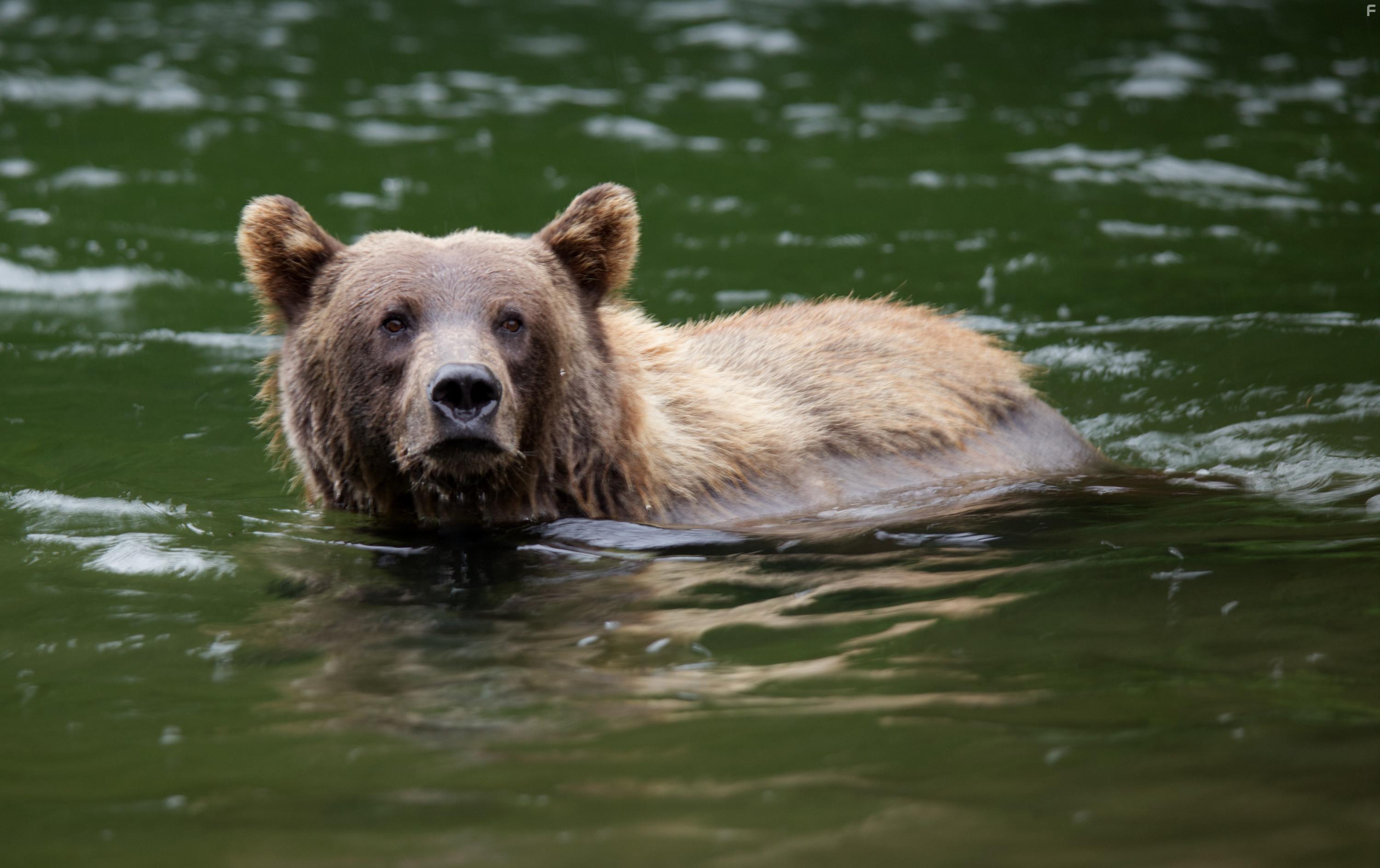 Growing Up Animal (2021)