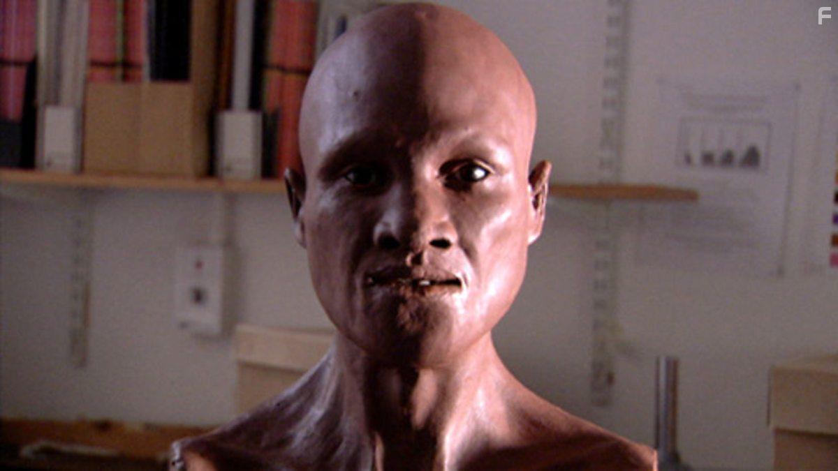 The Incredible Human Journey (2009)