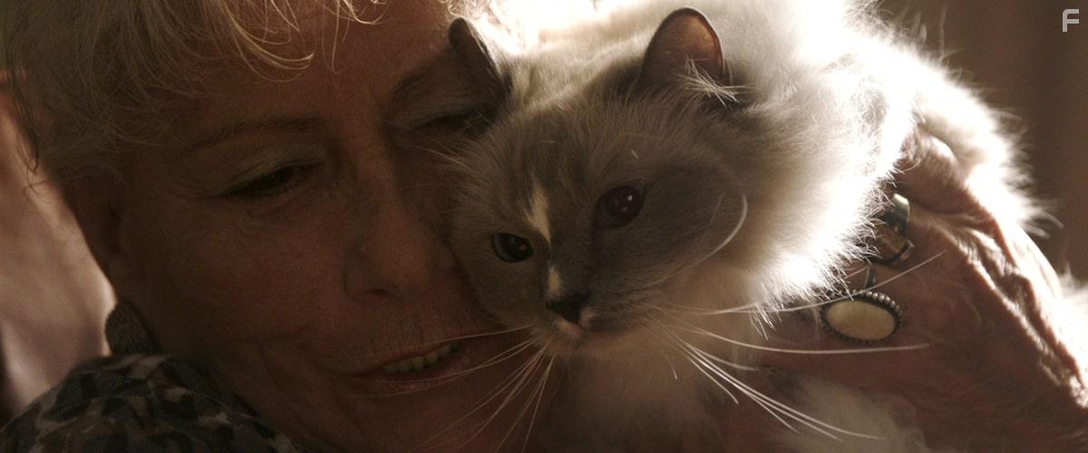 Misha and the Wolves (2021)