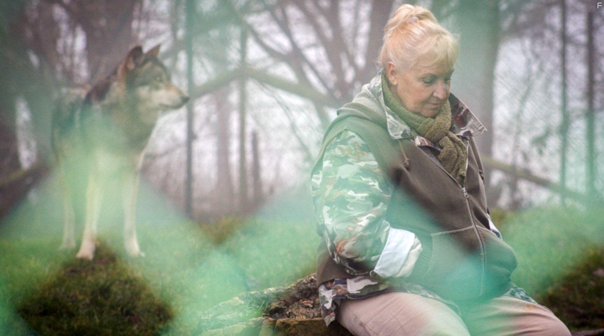 Misha and the Wolves (2021)