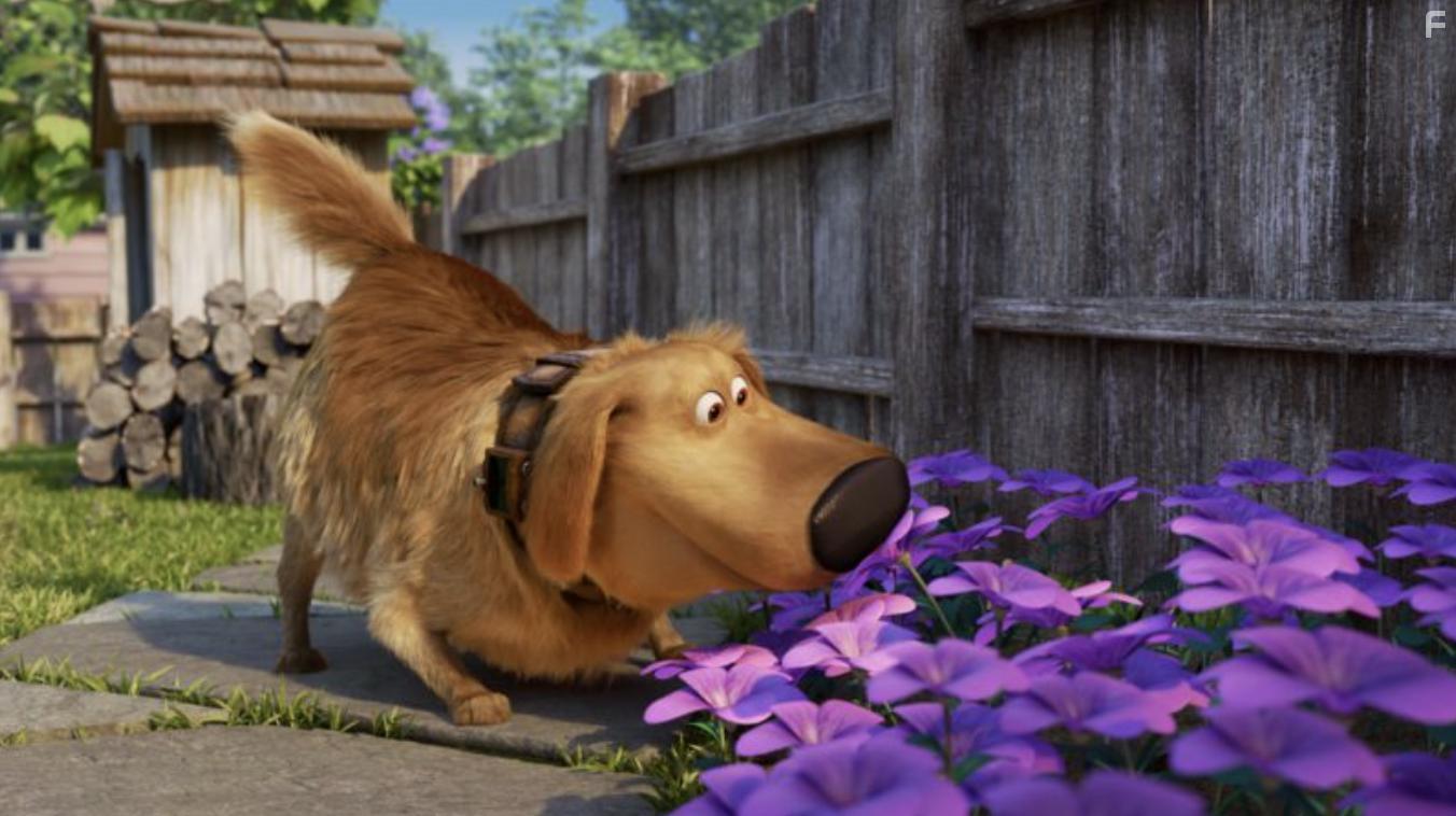 Dug Days (2021)