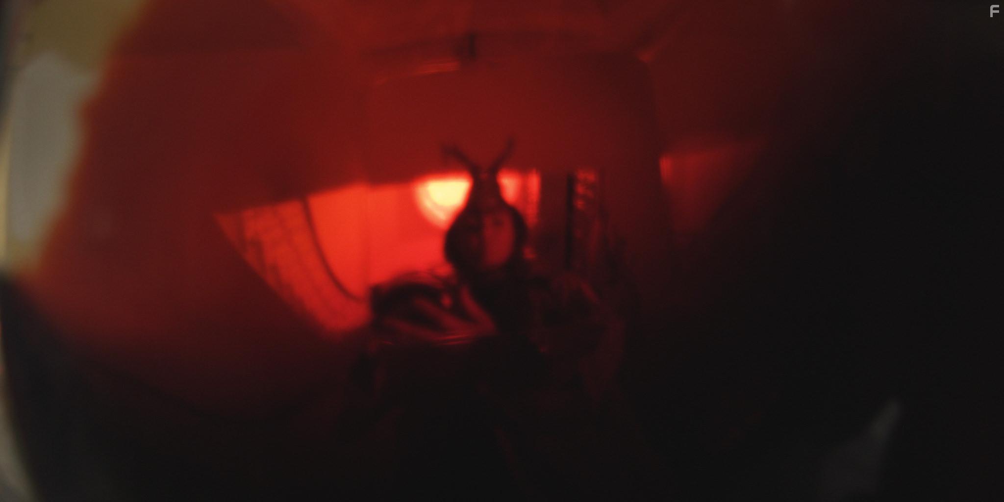 Far from the Apple Tree (2019)