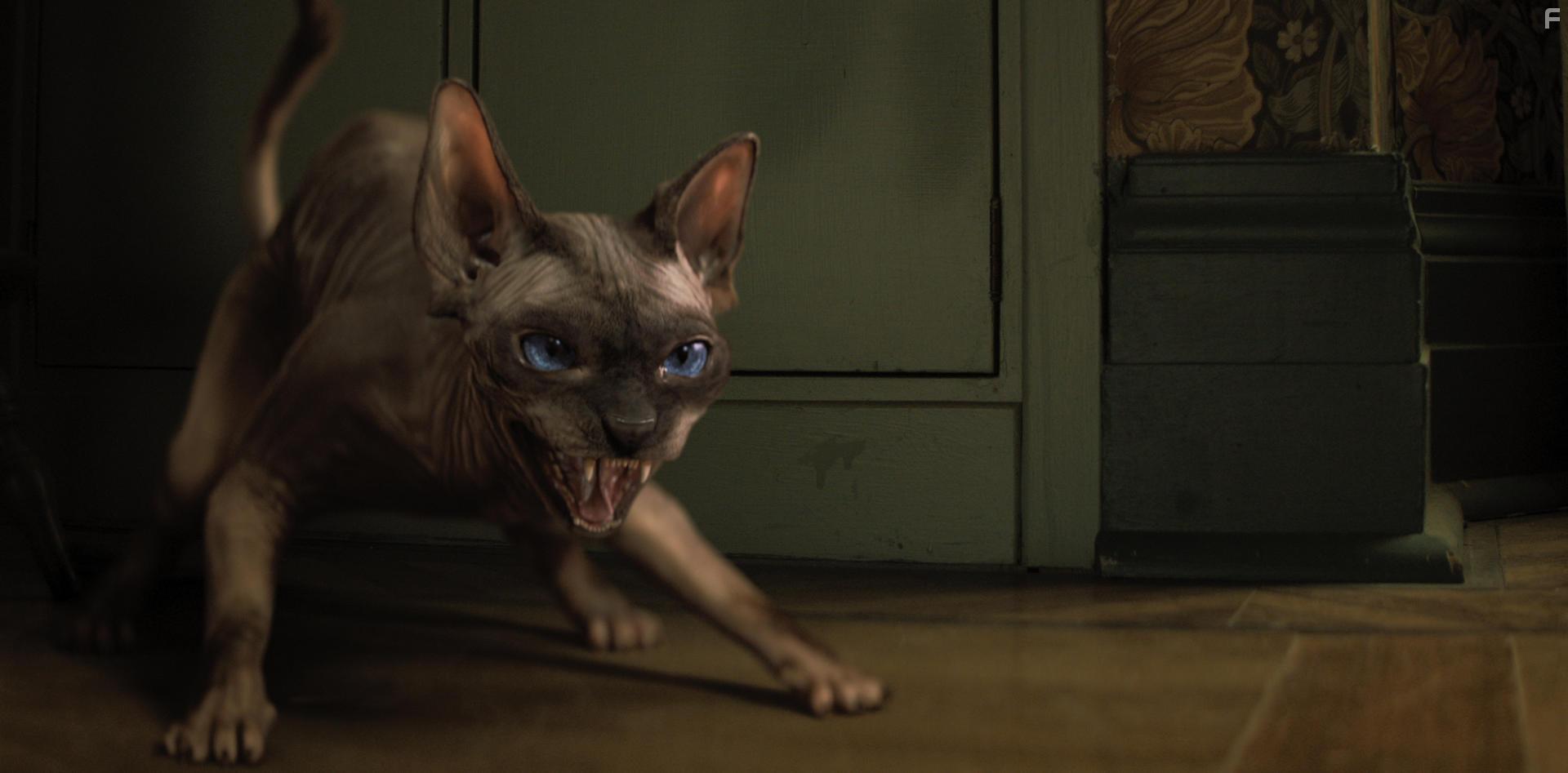 Boeken van de nacht (2021)