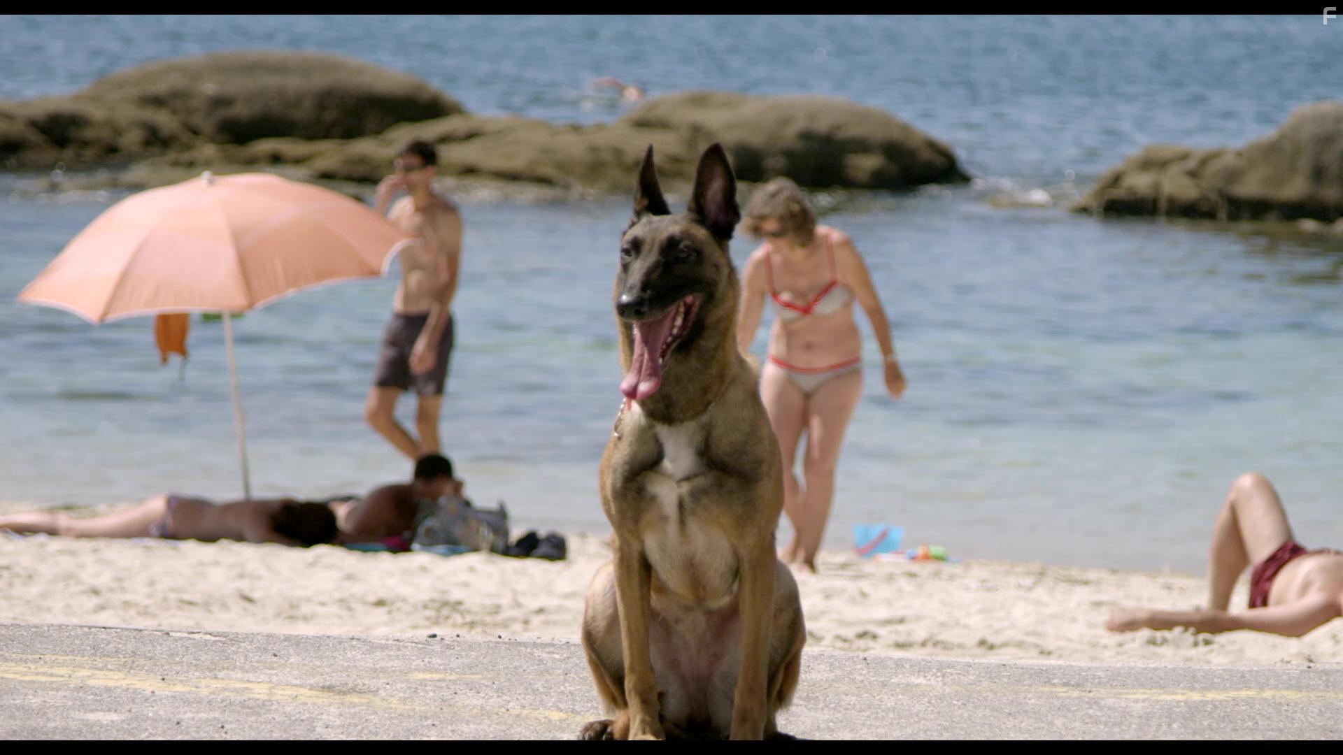 La estrella errante (2018)