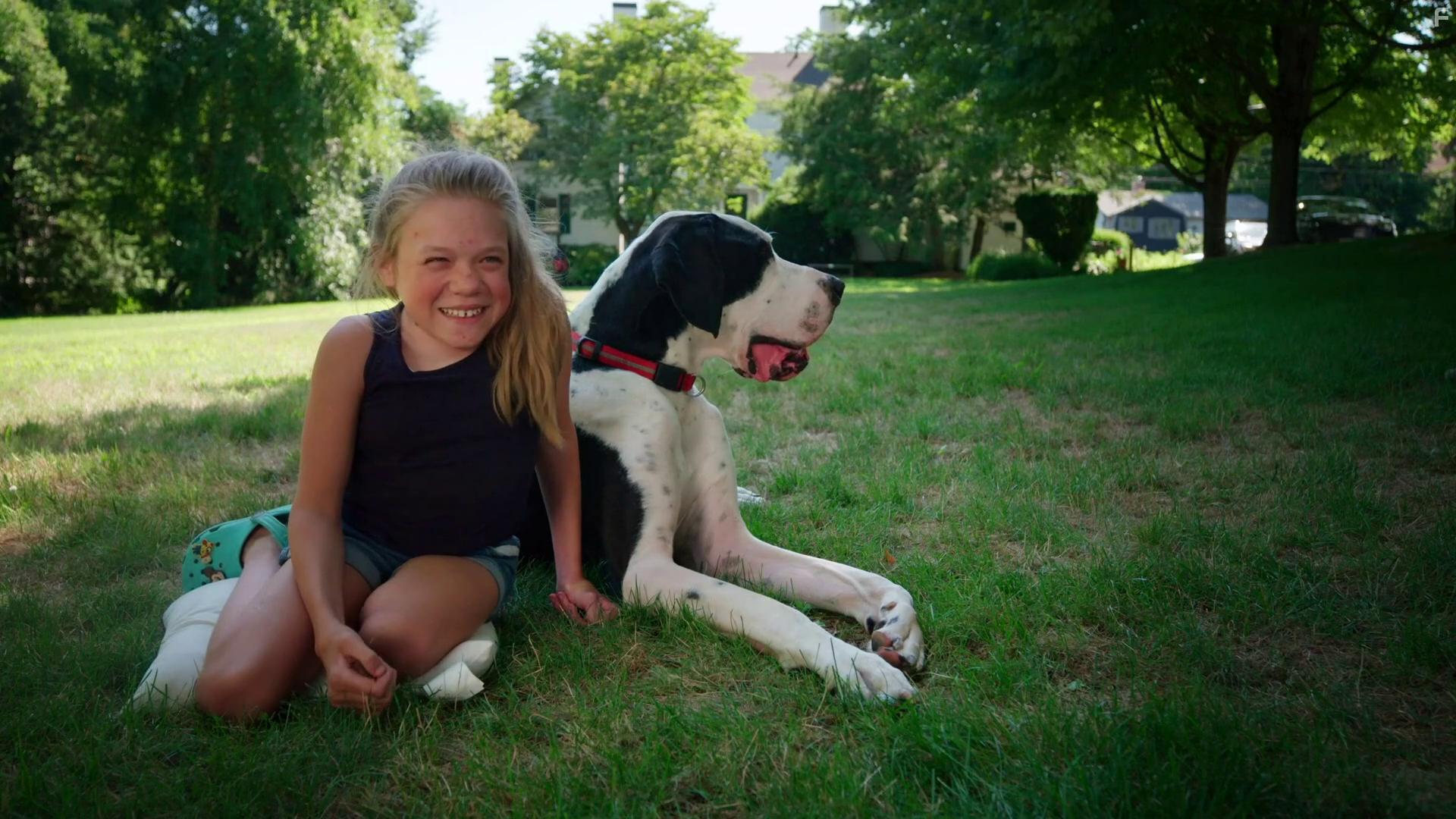 Dogs with Extraordinary Jobs: The Protectors (2019)