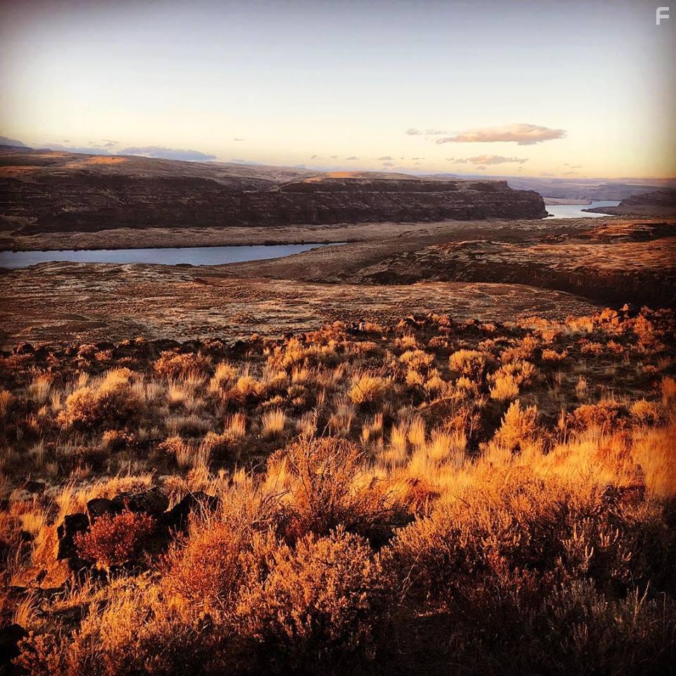 East of the Mountains (2021)