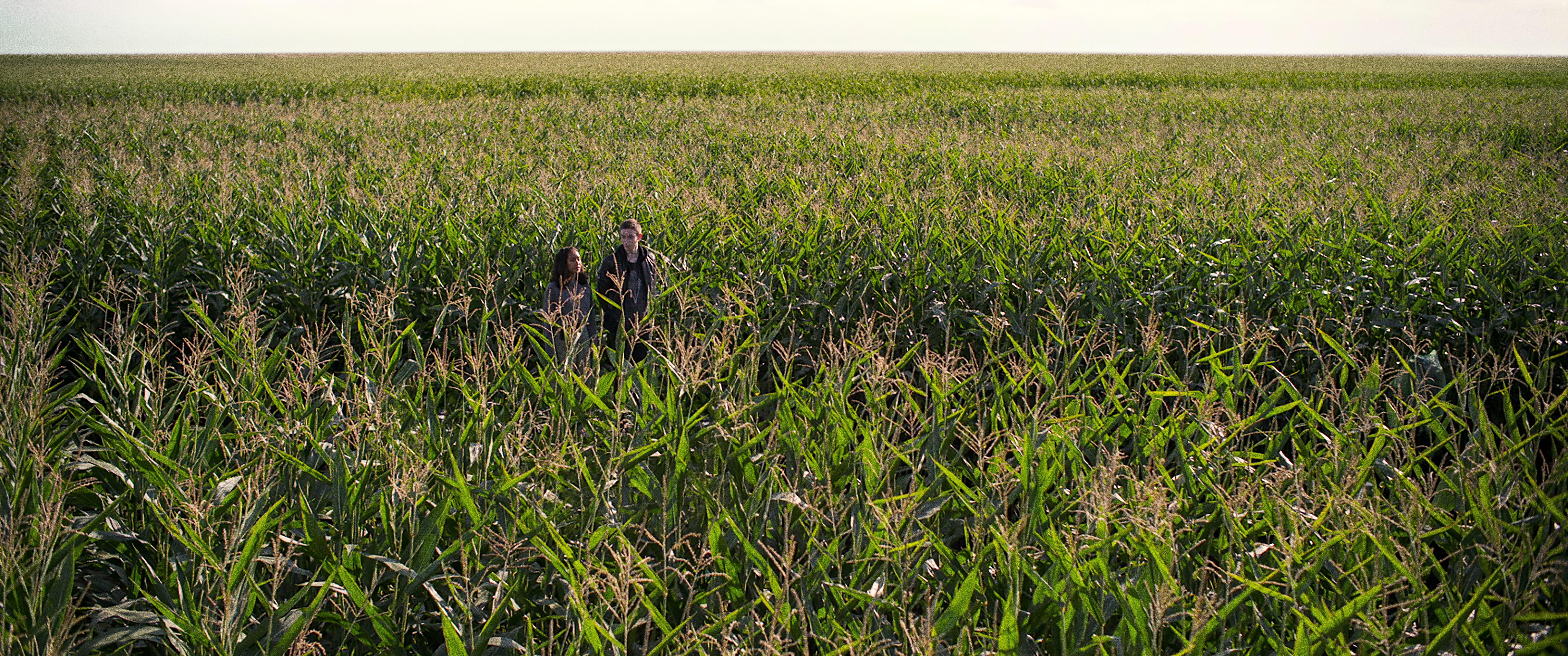 There's Someone Inside Your House (2021)