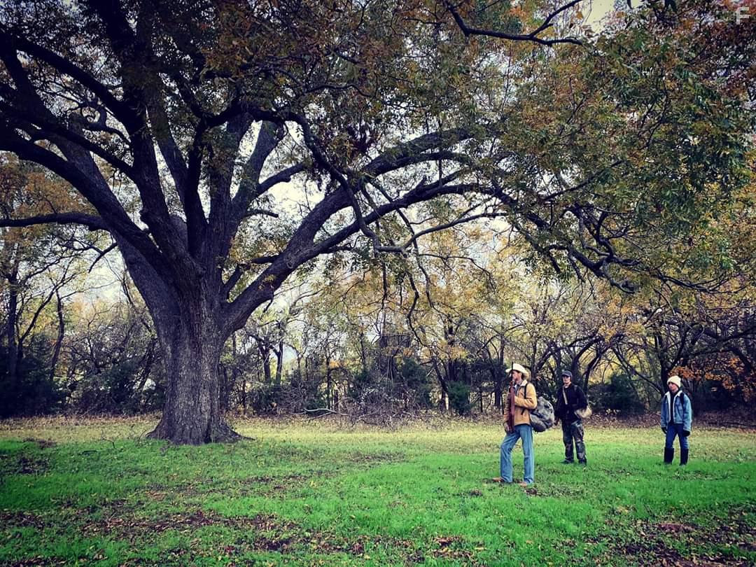 Tom Zembrod, Paul T. Taylor, and Dash Melrose in Whitetail (2021)