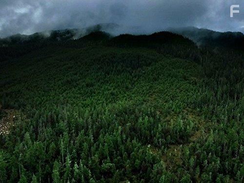 Port Protection (2015)