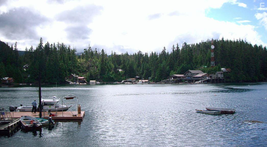 Port Protection: Eyes of the Forest (2020)