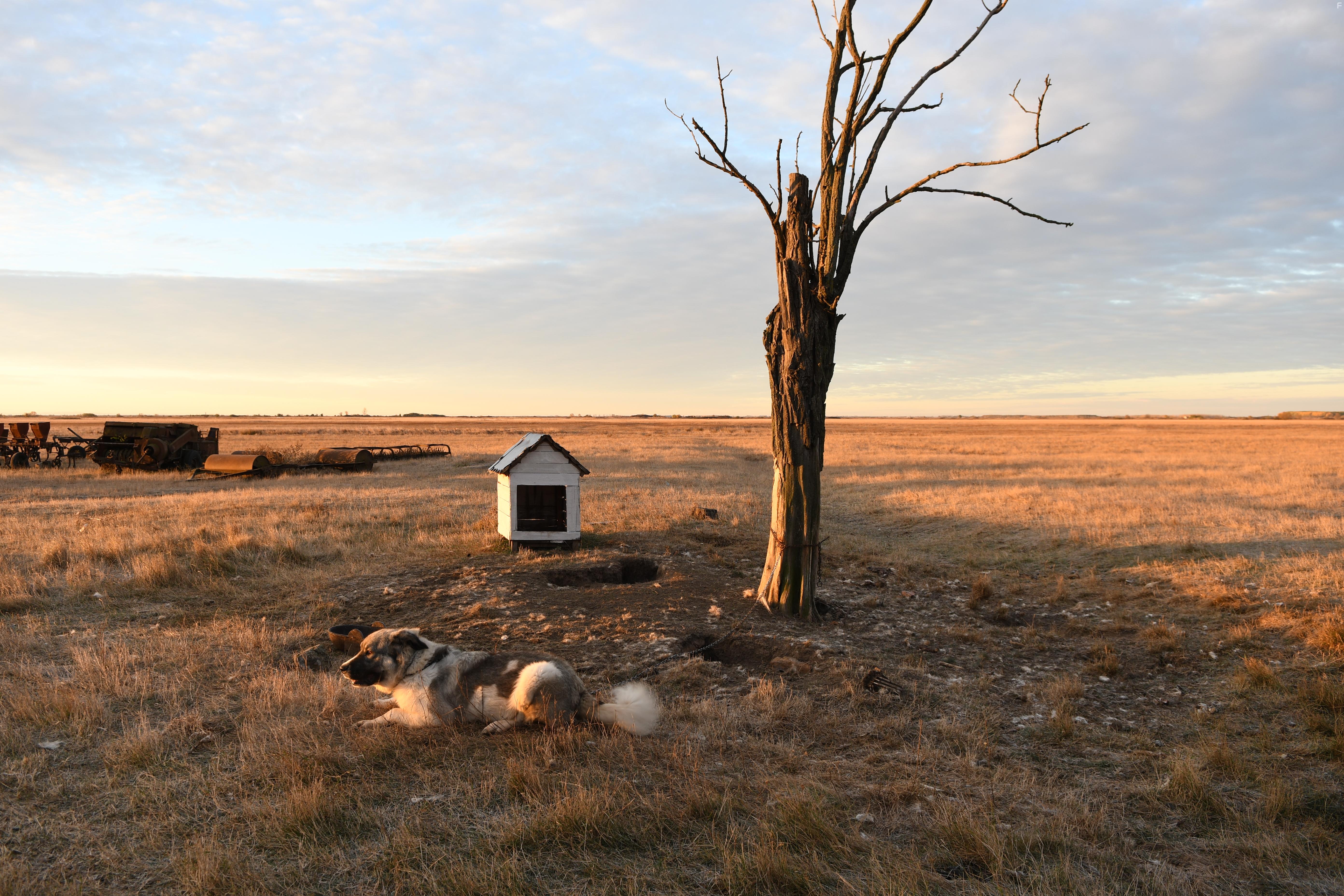 Предвыборная кампания