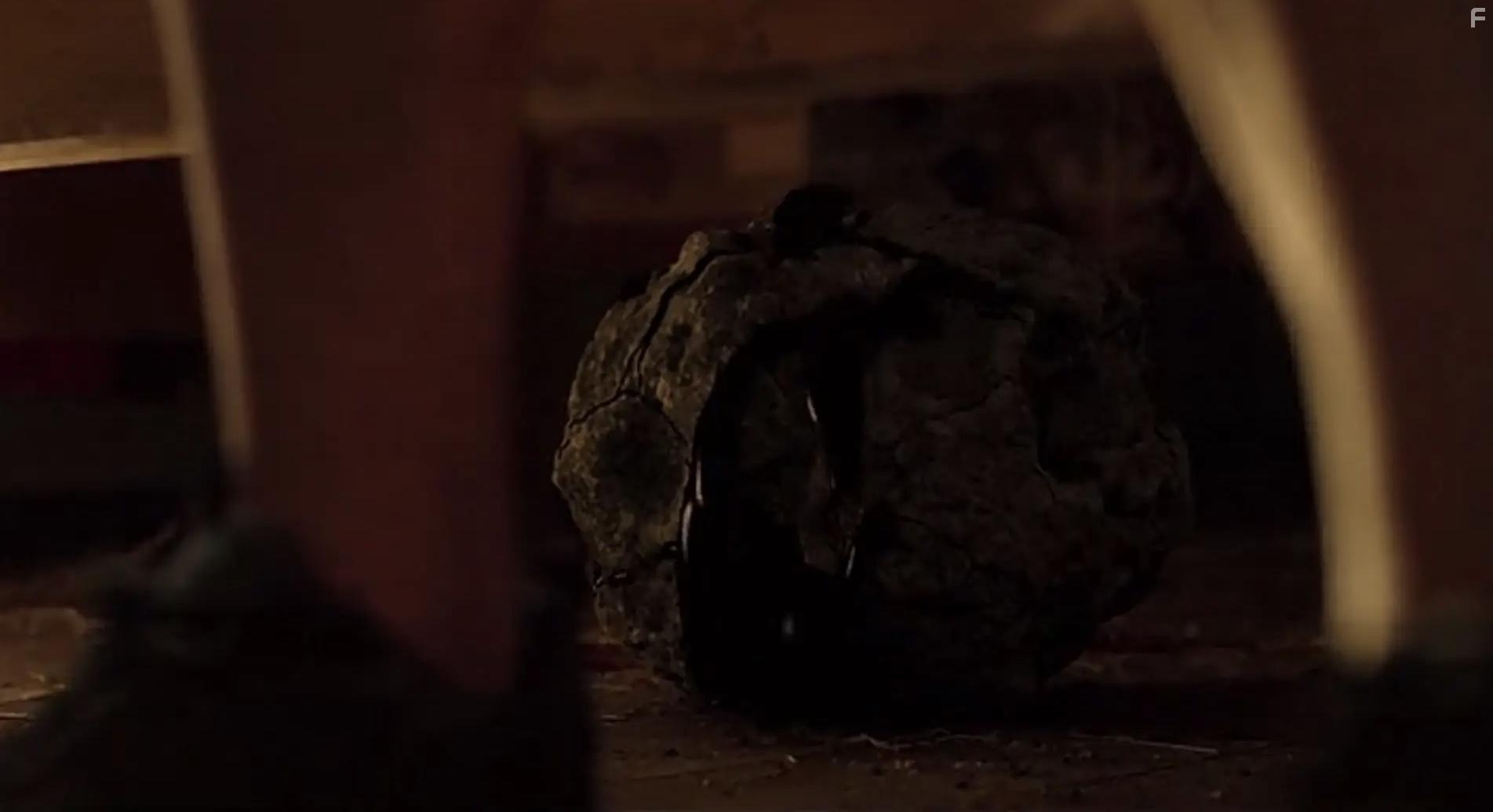 W lesie dzis nie zasnie nikt 2 (2021)