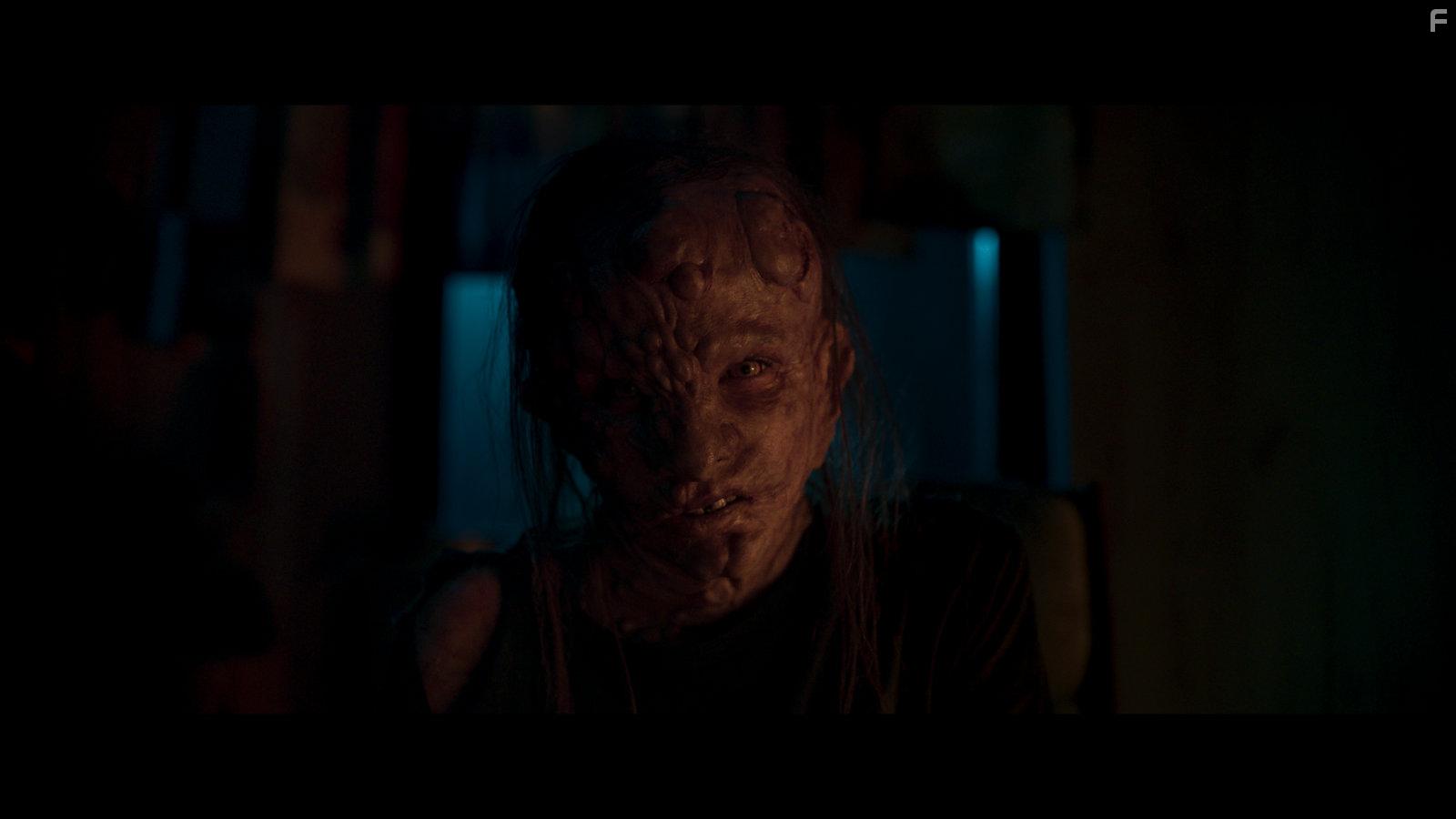 W lesie dzis nie zasnie nikt 2 (2021)