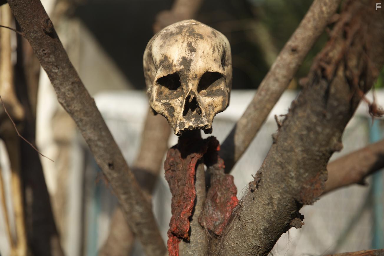 Тысяча клыков