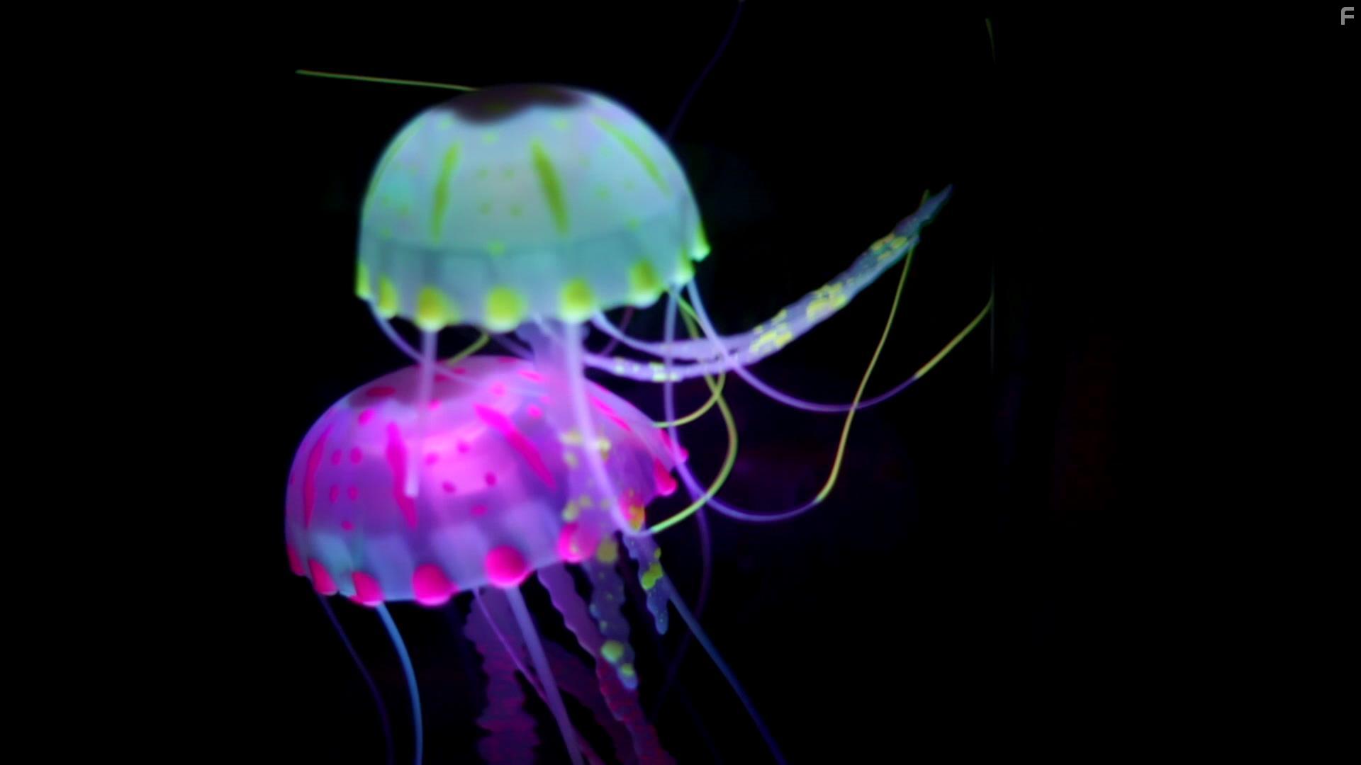 Sustainable Life with Unlimited Transformations (2021)