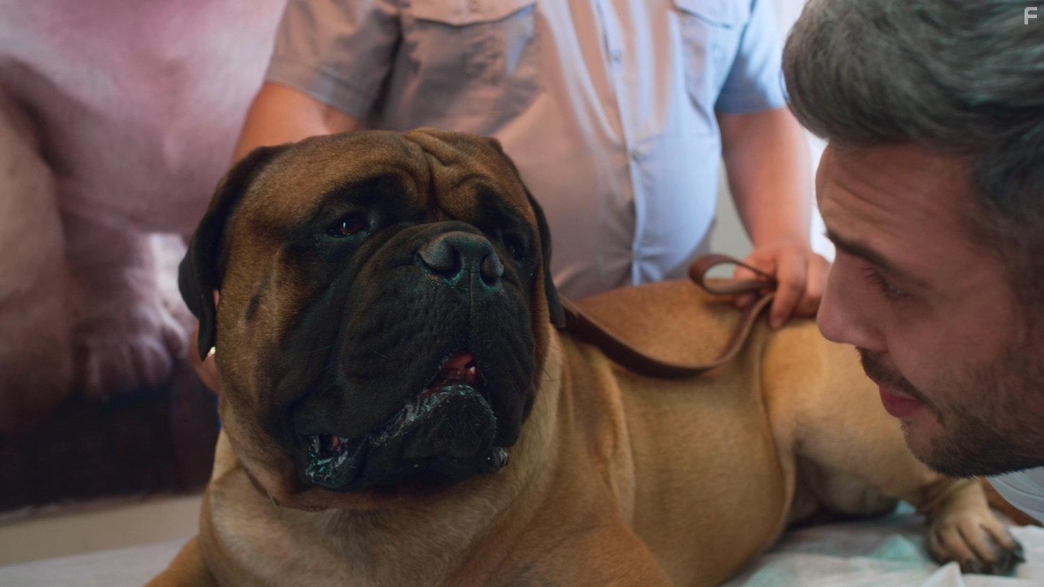 Джек & Лондон #3