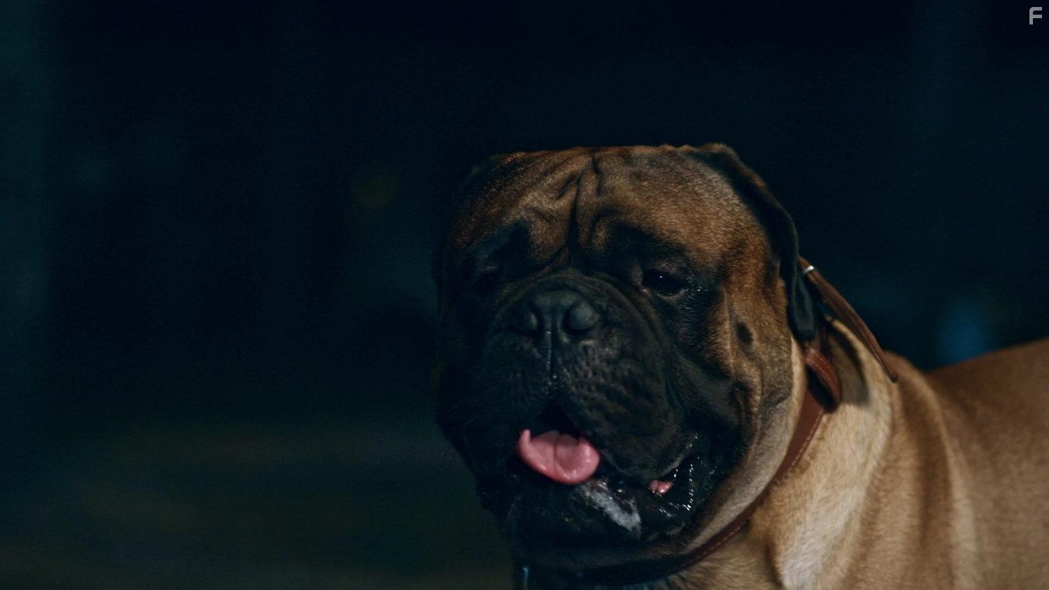 Джек & Лондон #14