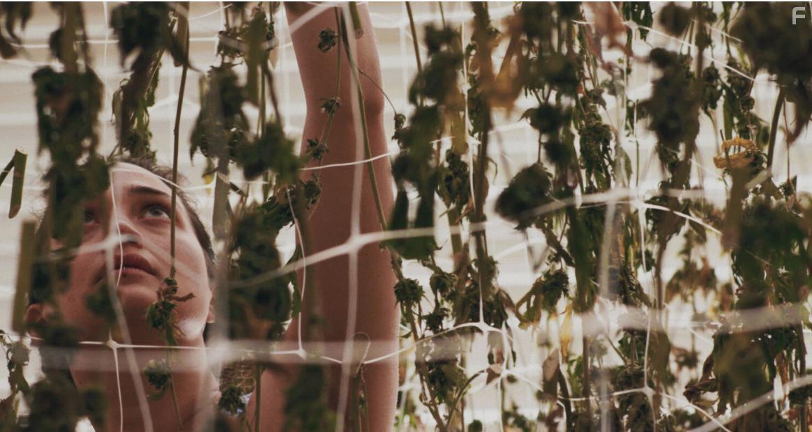 Lily Gladstone in Freeland (2020)