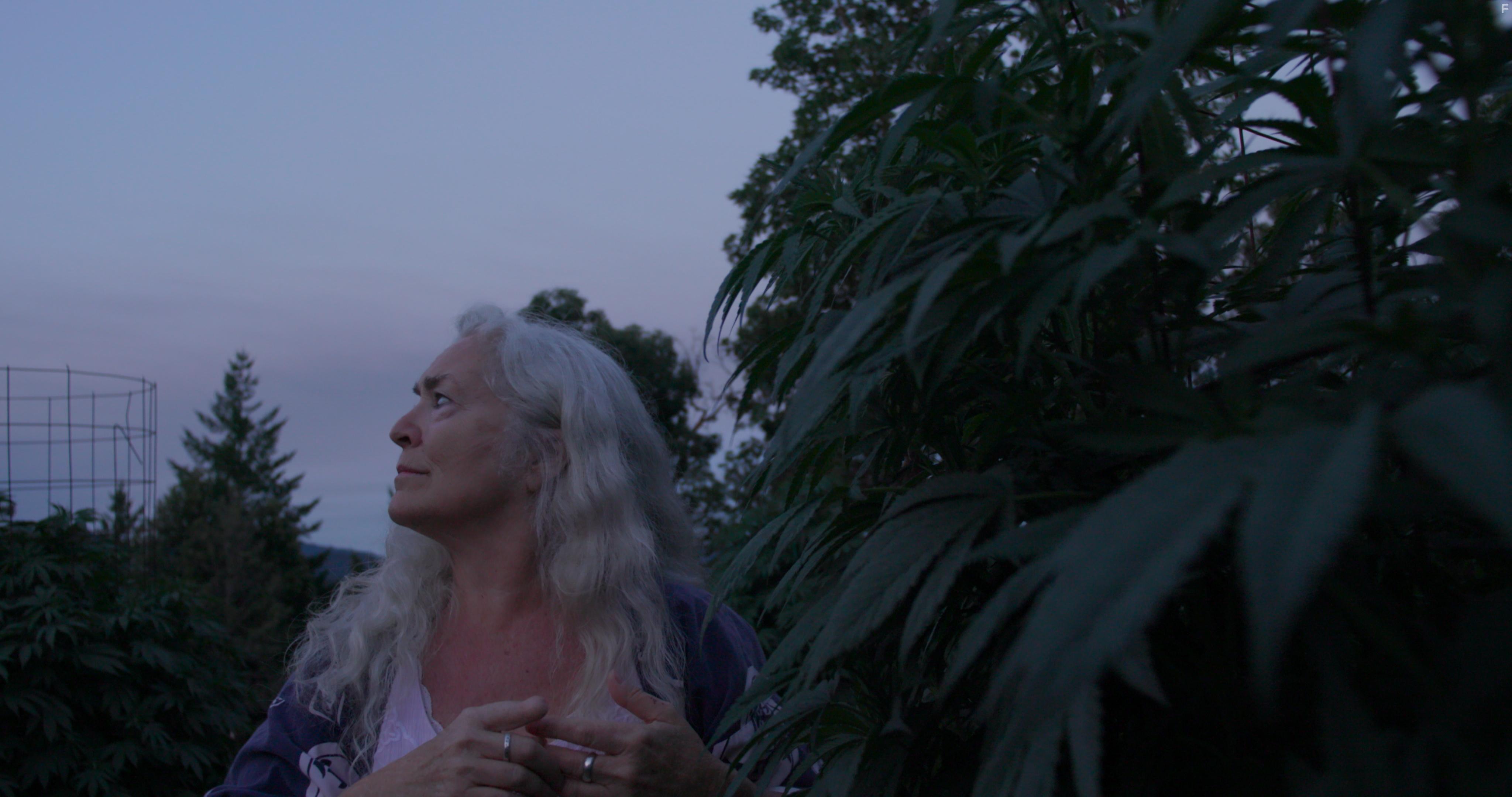 Krisha Fairchild in Freeland (2020)