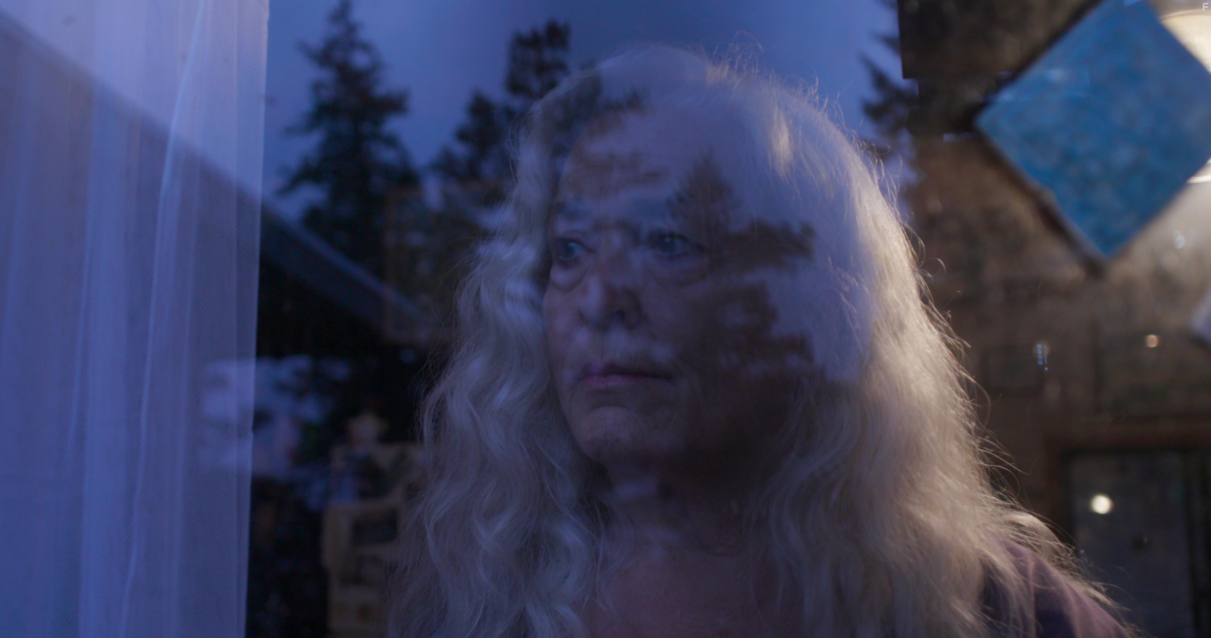 Krisha Fairchild in Freeland (2020)