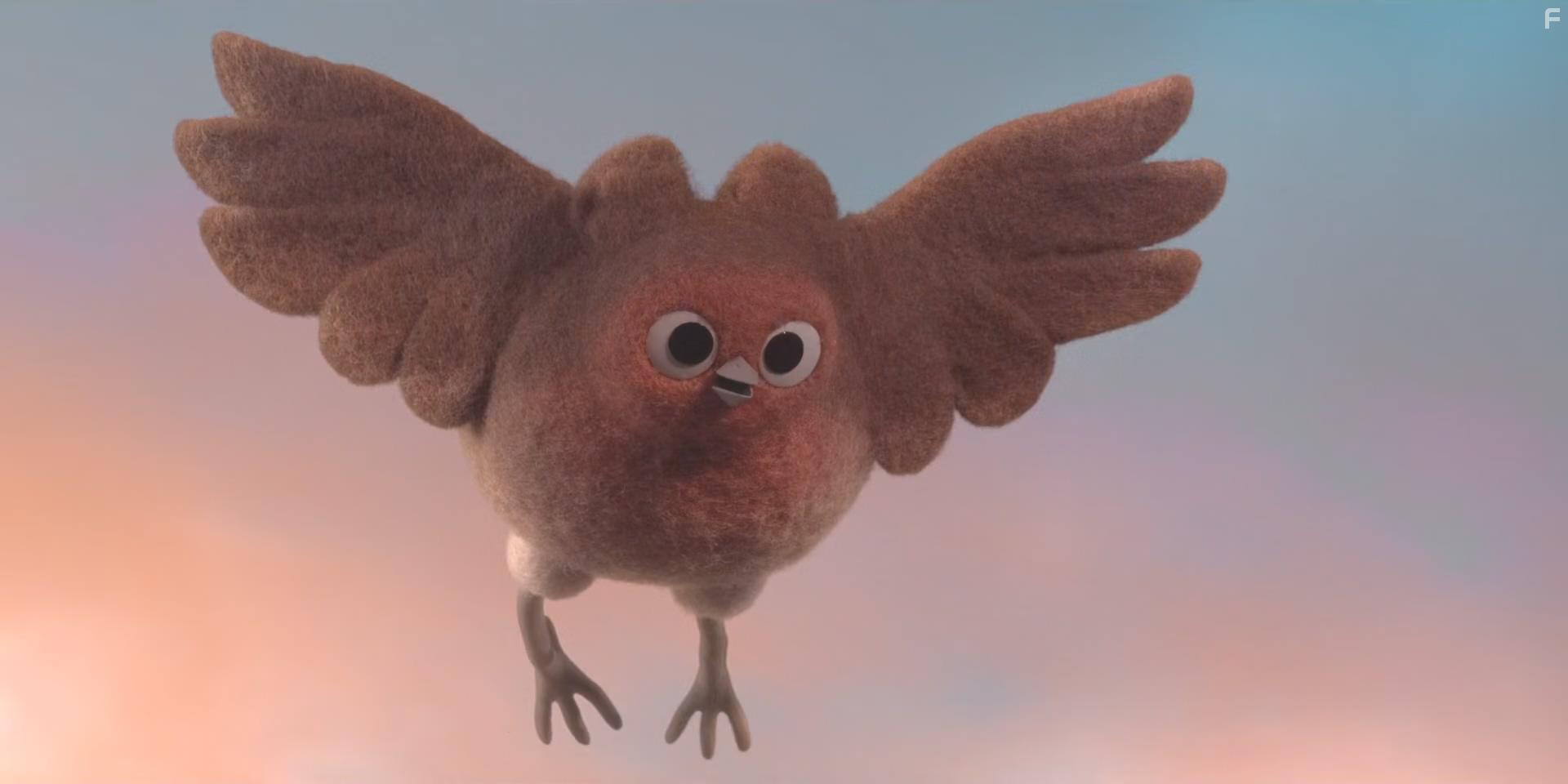 Robin de roodborst (2021)