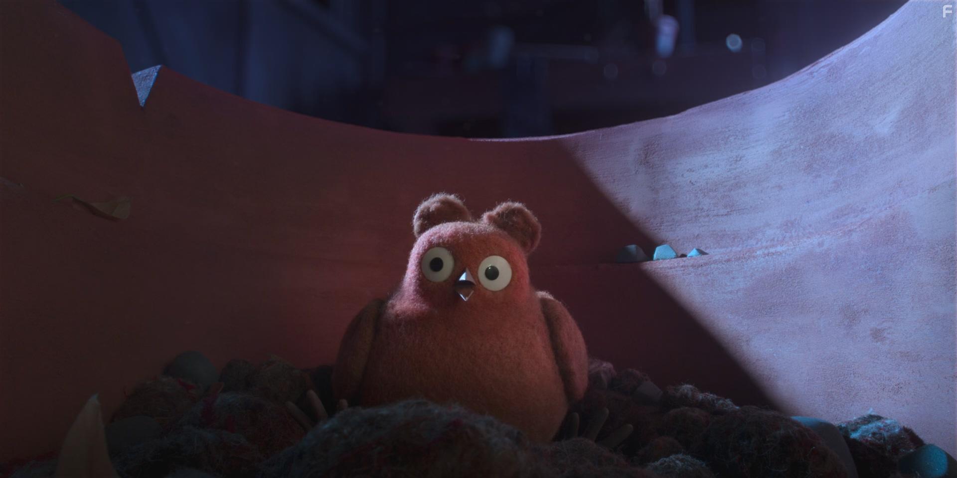 Robin de roodborst (2021)