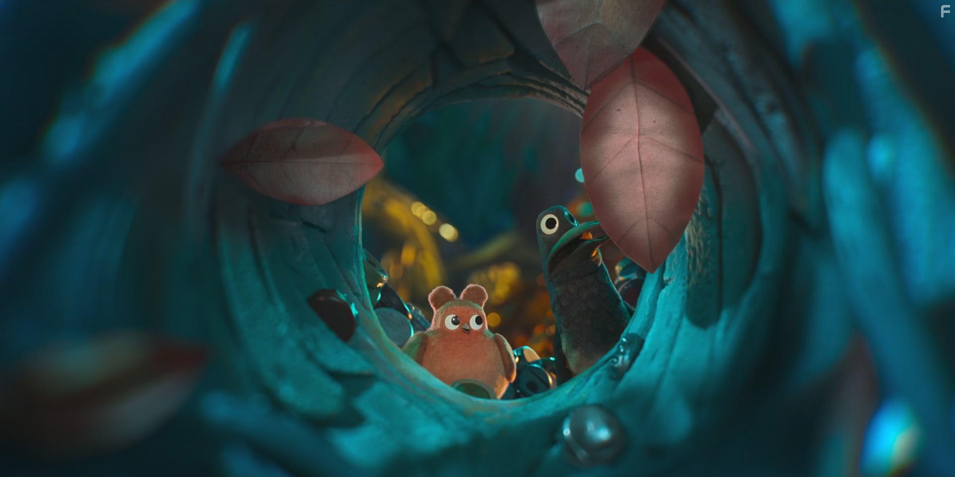 Robin de roodborst (2021)