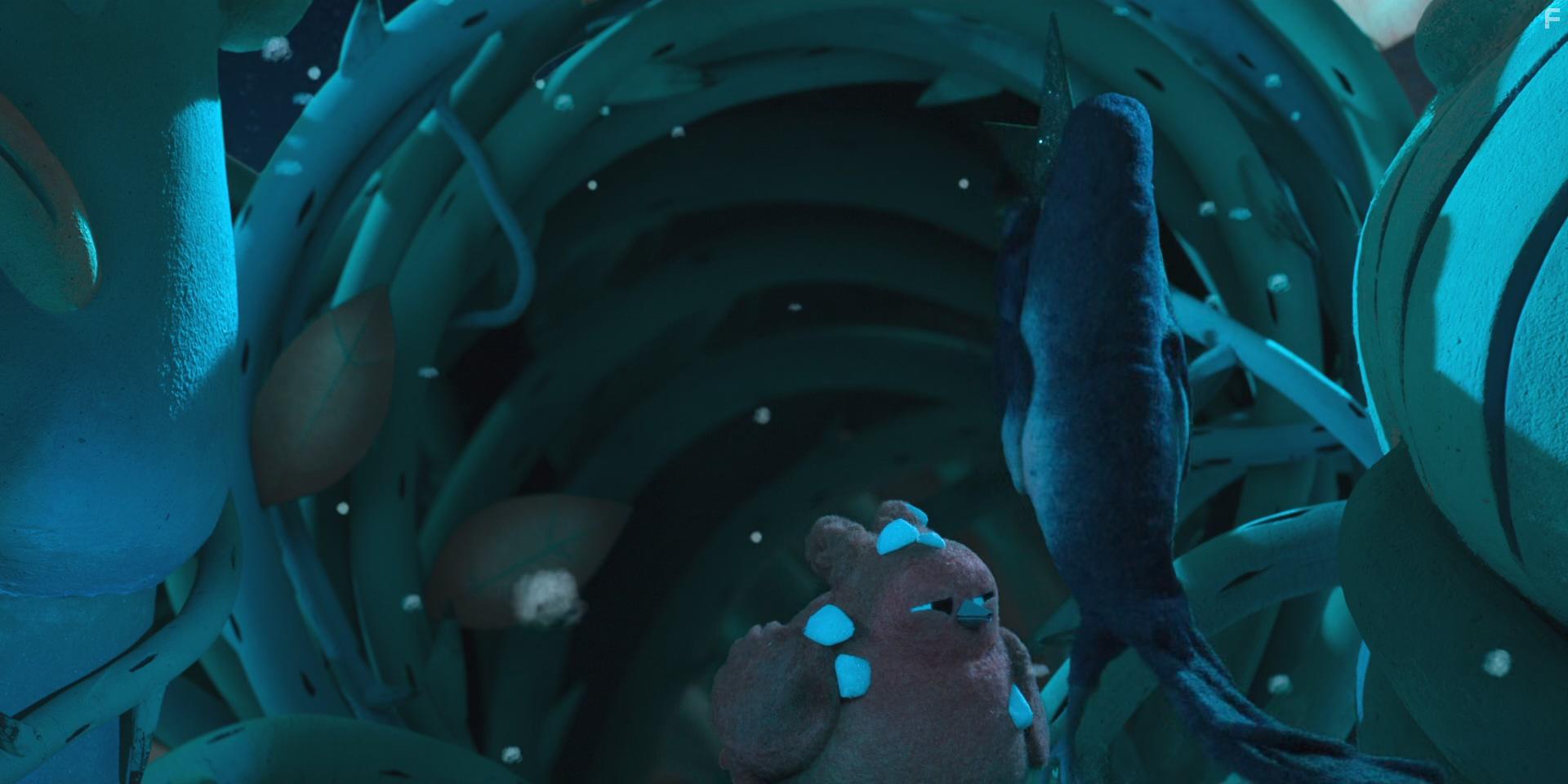 Robin de roodborst (2021)